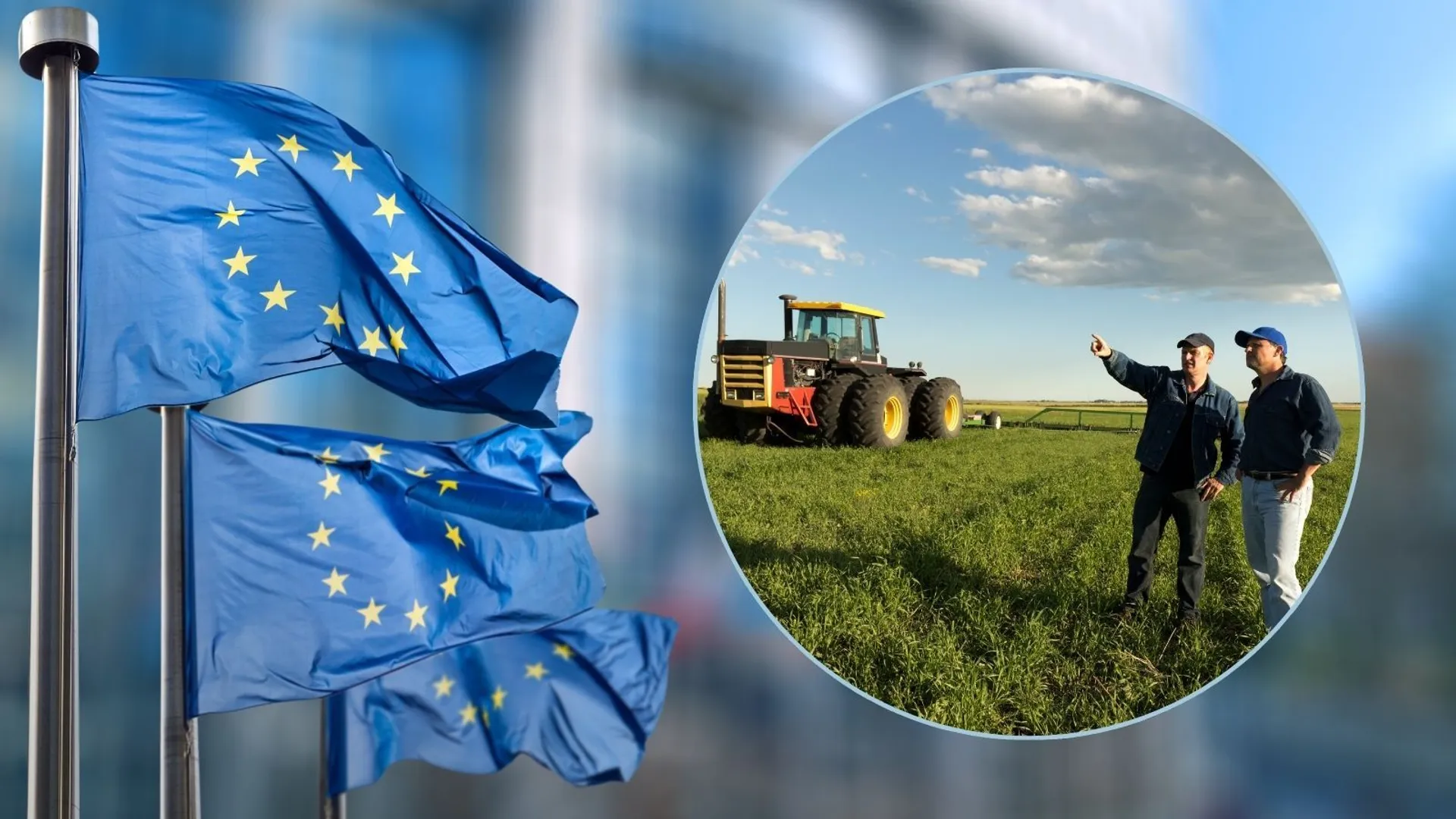 Unia Europejska, rolnicy