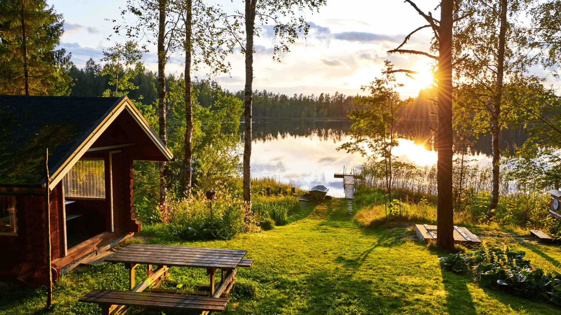 Dom w lesie, bon turystyczny, Podlasie