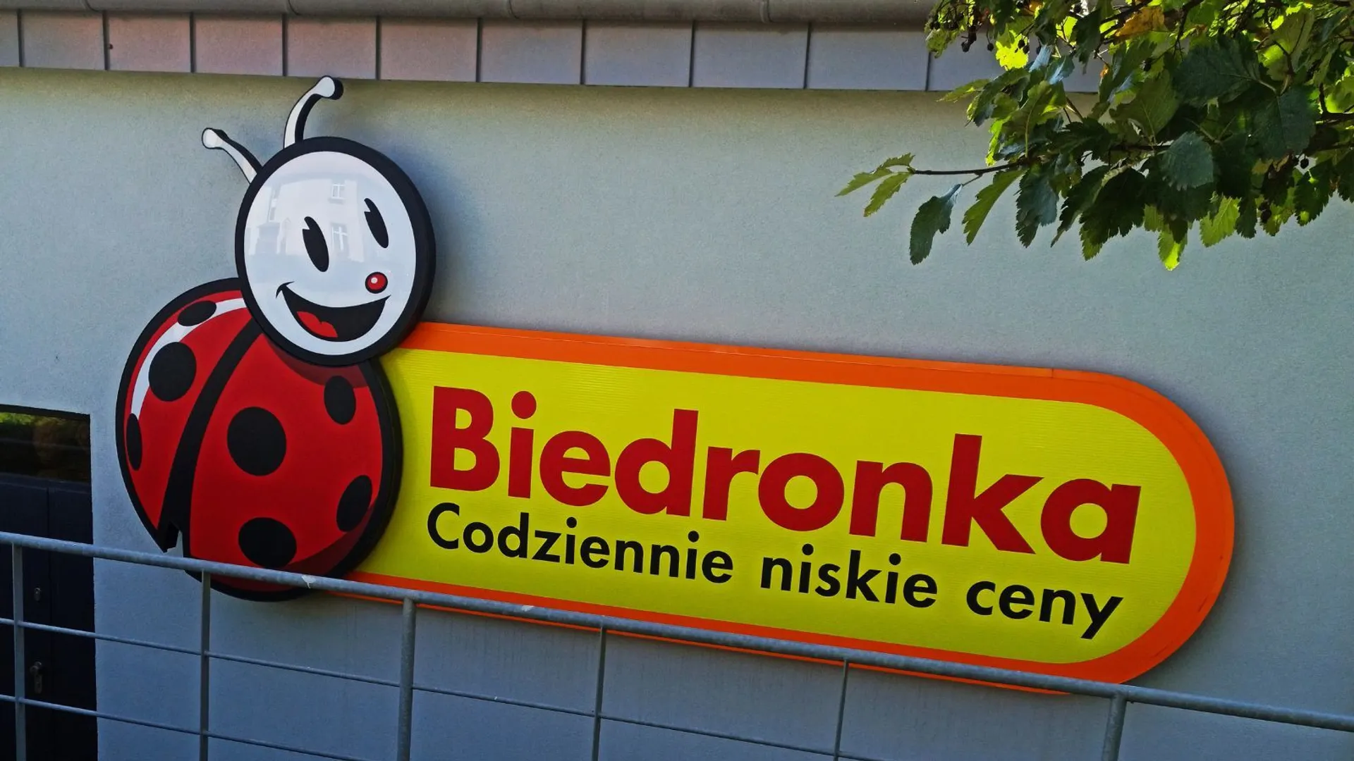 Biedronka