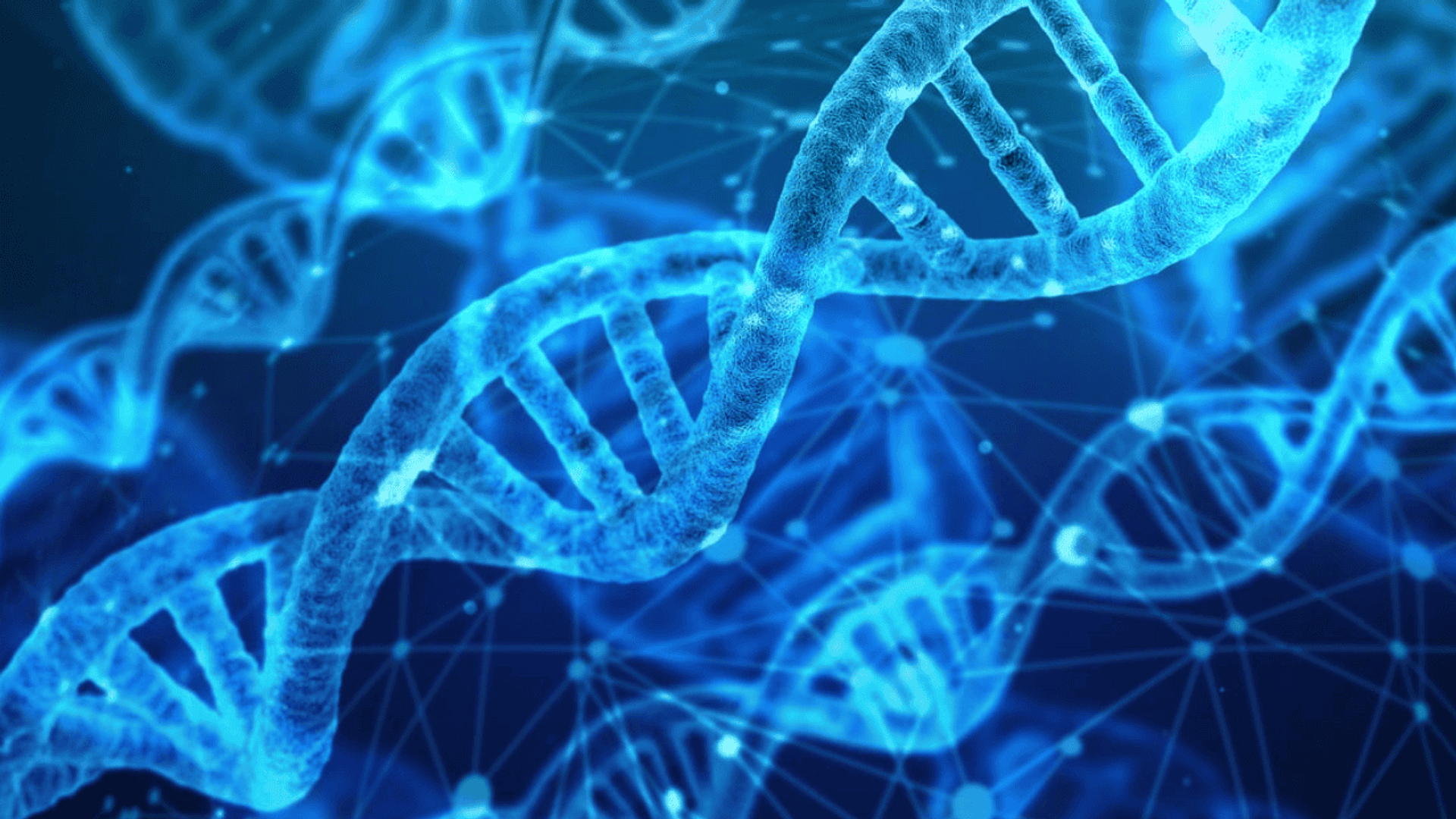 DNA