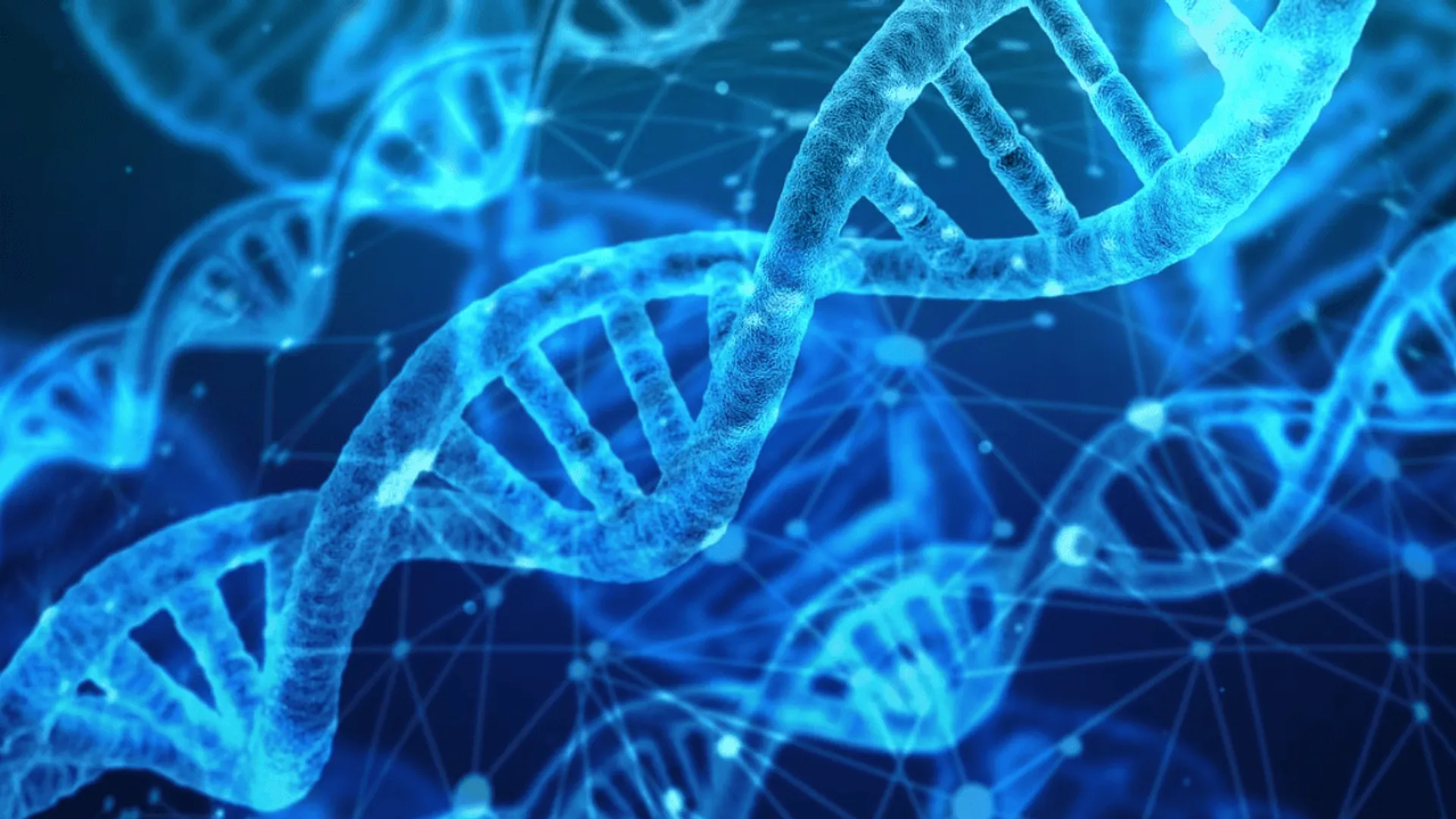 DNA