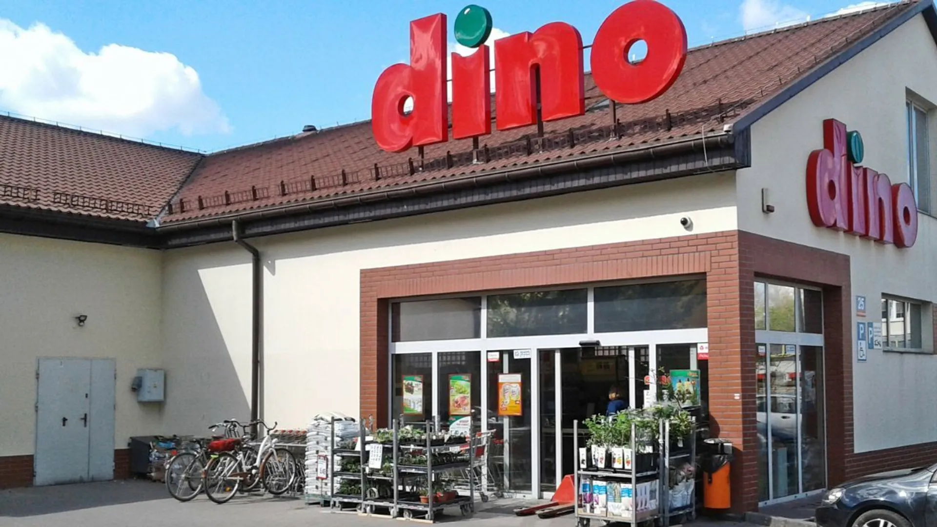 Dino