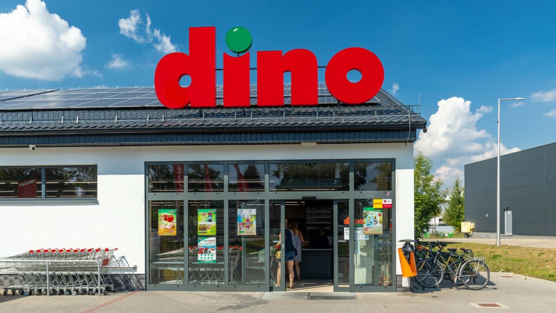 Dino