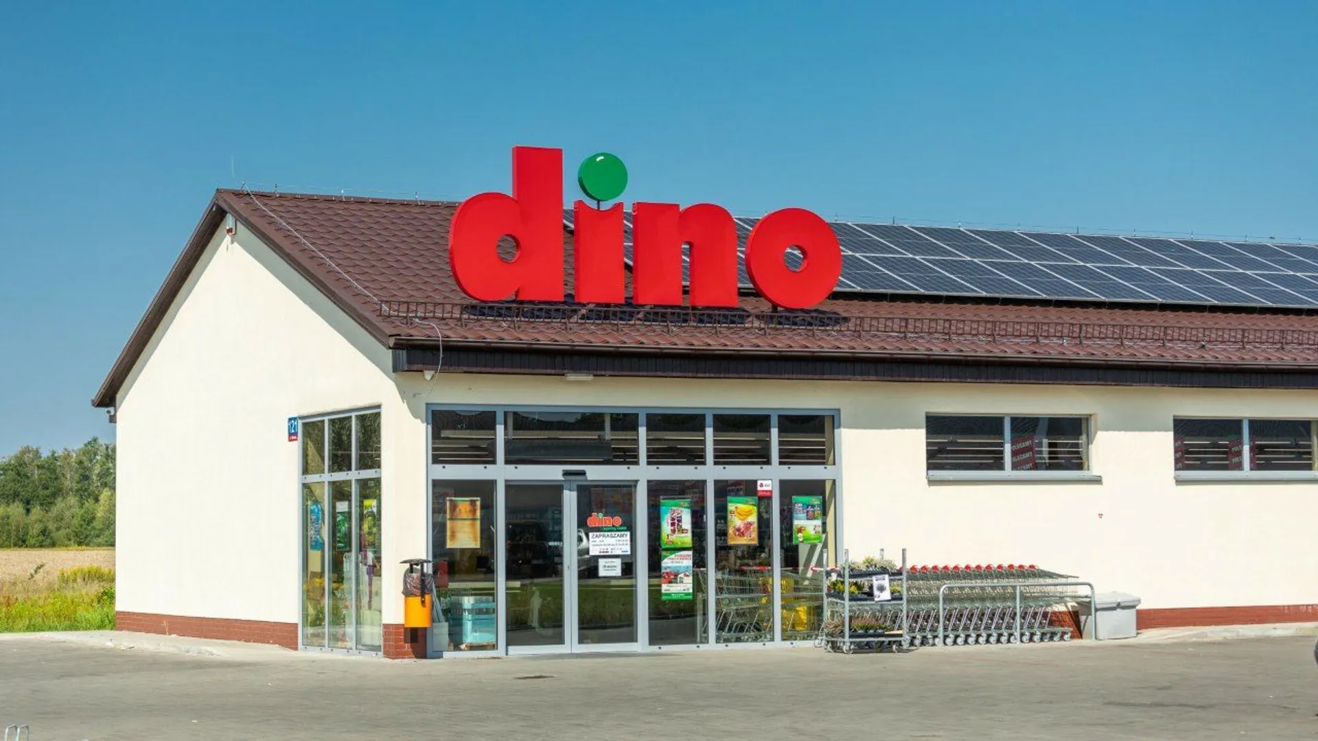 Dino