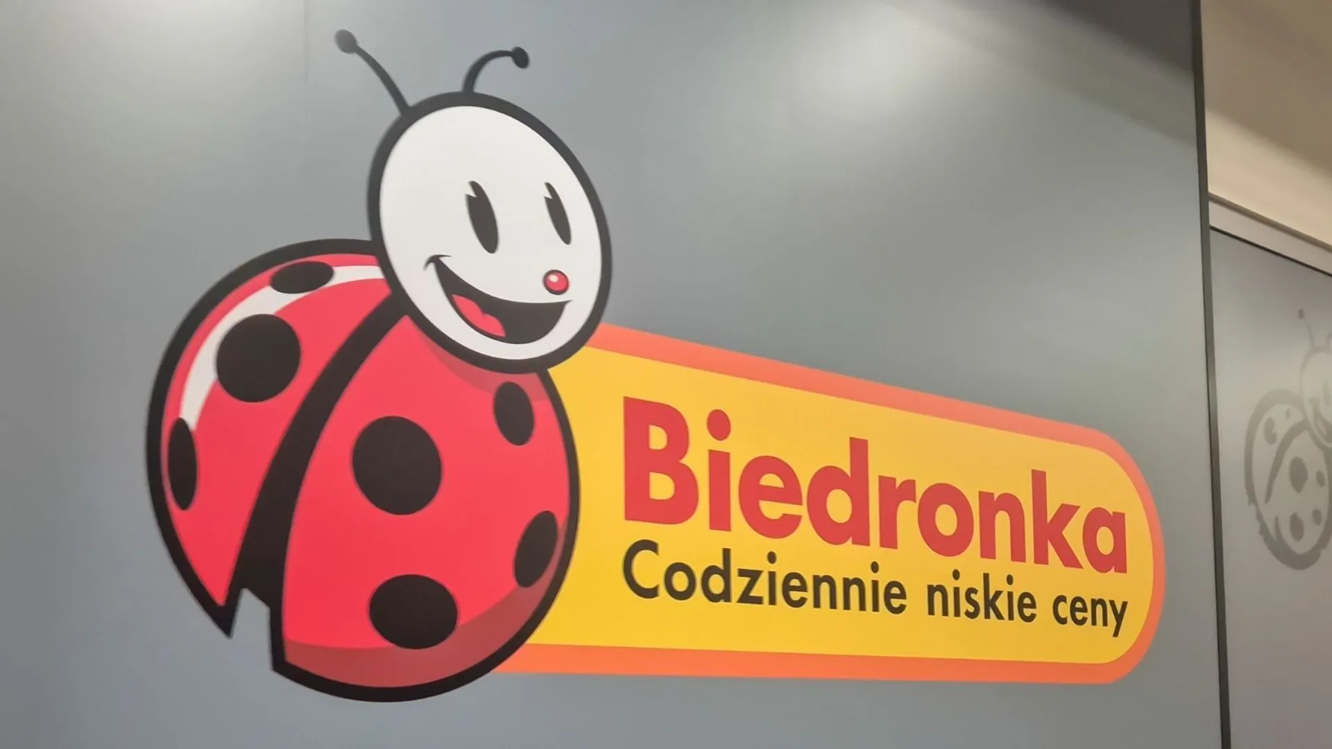 Zacznie się 24 sierpnia w Biedronce. Wracają naklejki i upragnione maskotki