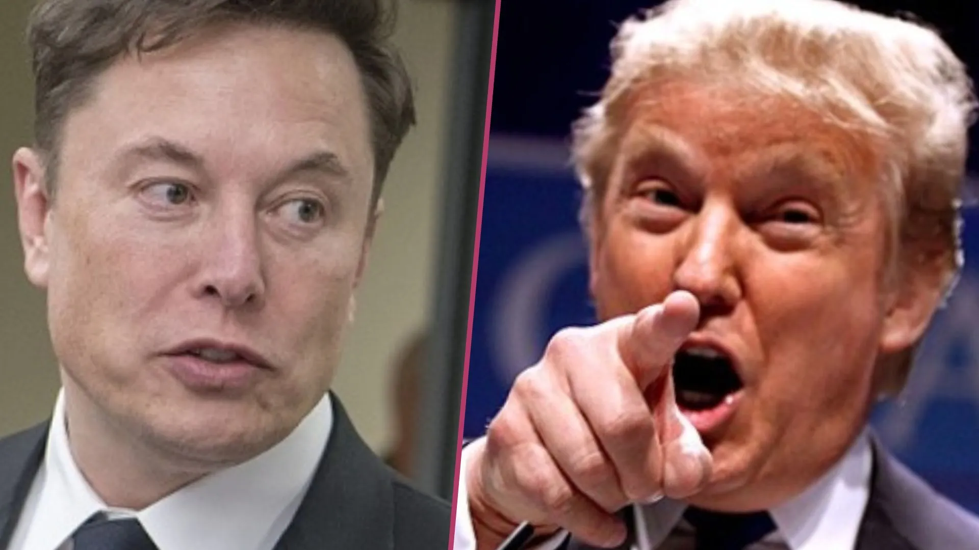 Donald Trump, Elon Musk