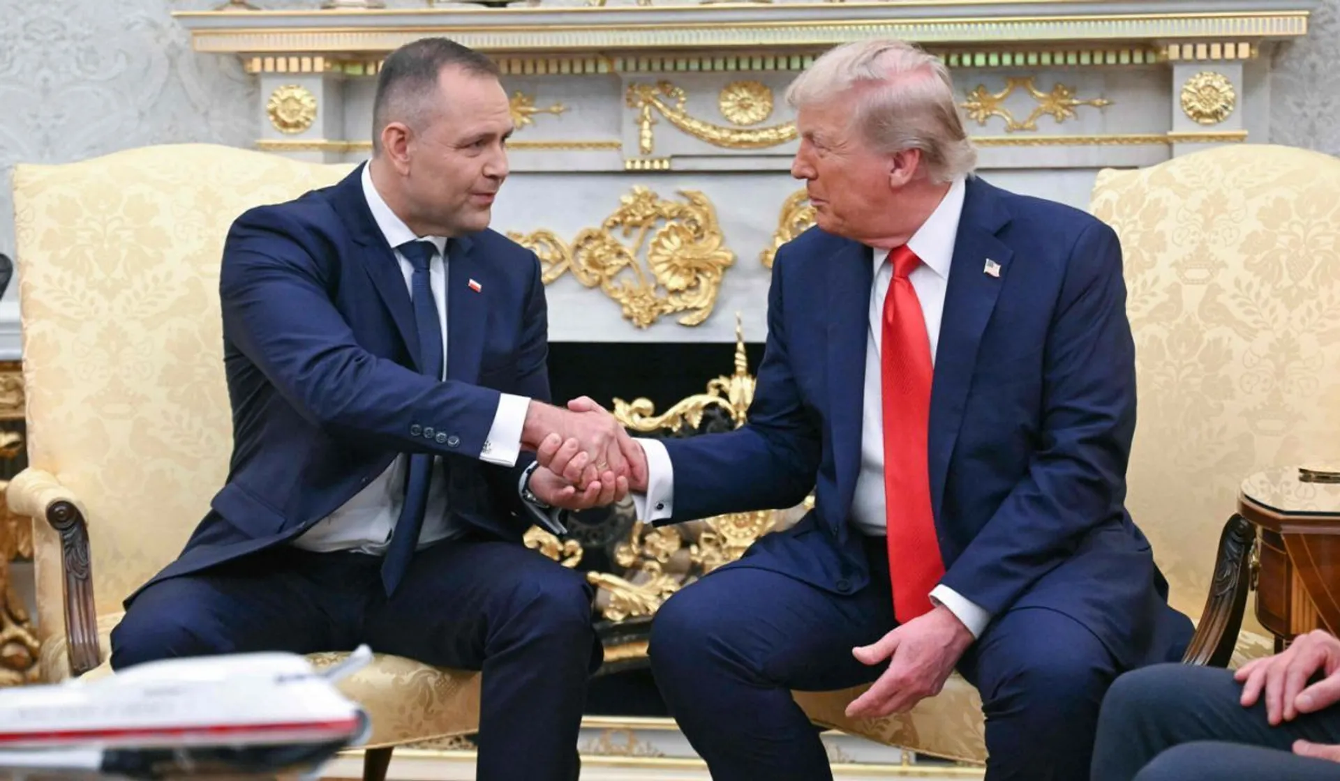 Donald Trump i Karol Nawrocki