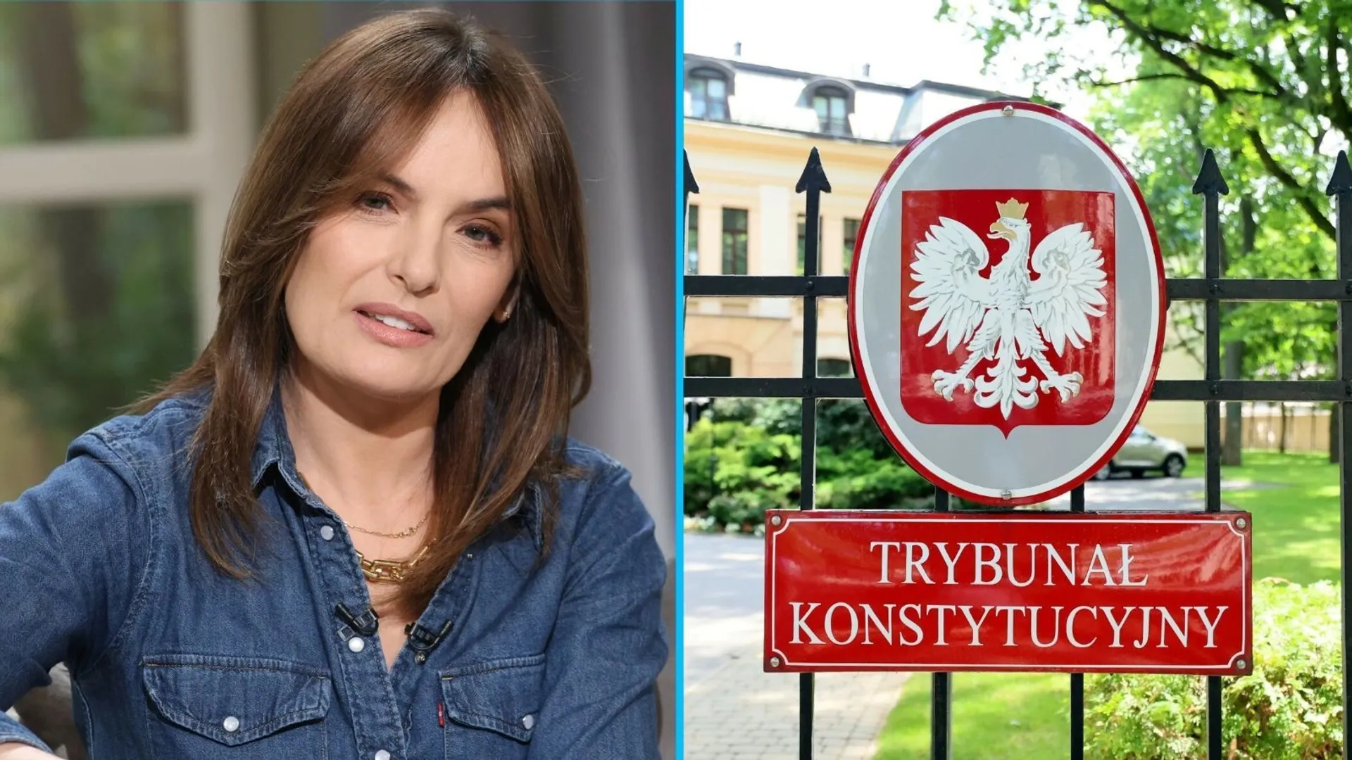 Dorota Gawryluk, TK