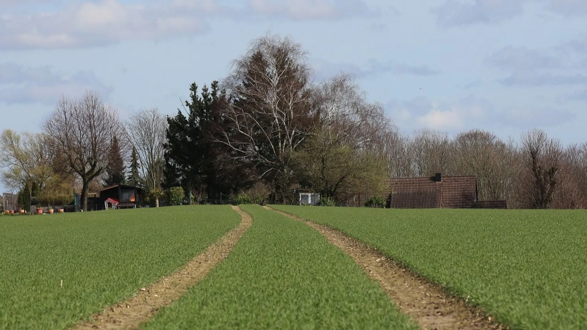 Działki budowlane