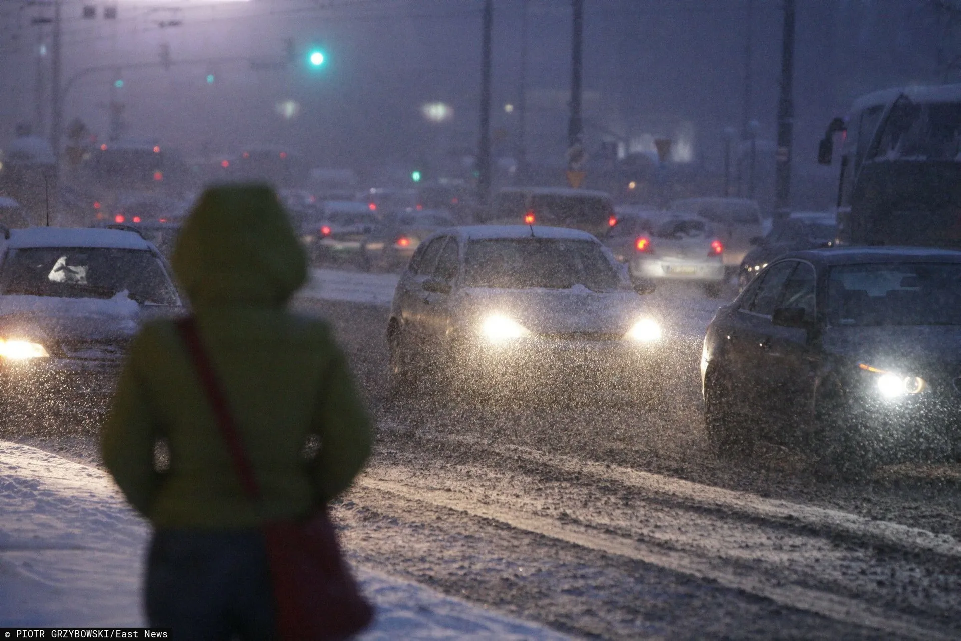 śnieg miasto auta kobieta pies