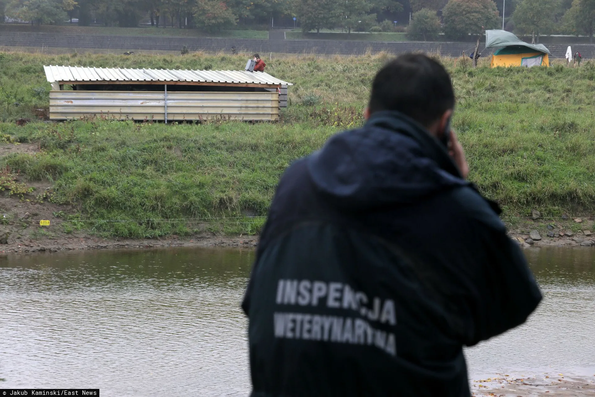 Inspekcja weterynaryjna