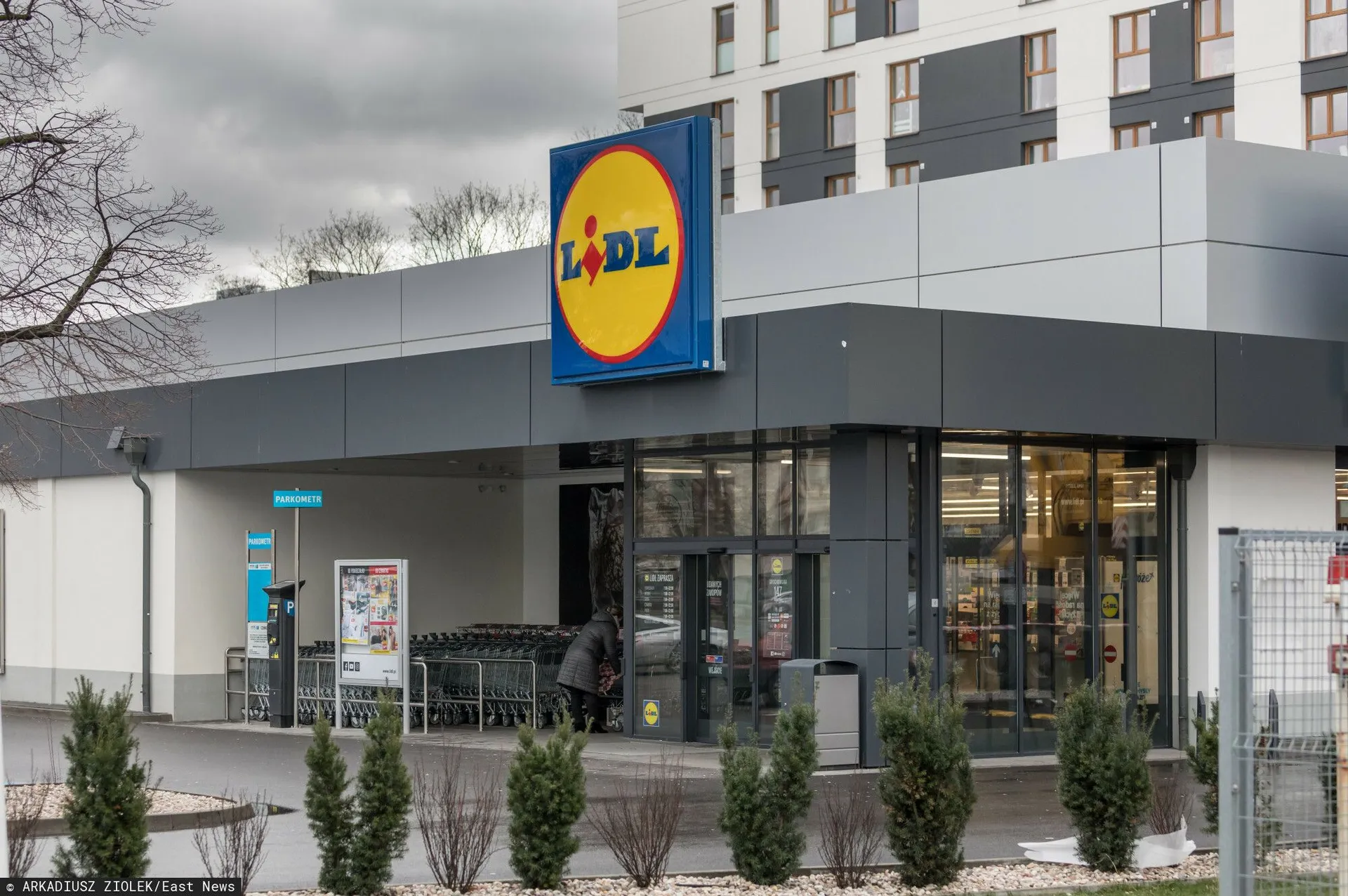 Logo sklepu LIDL.