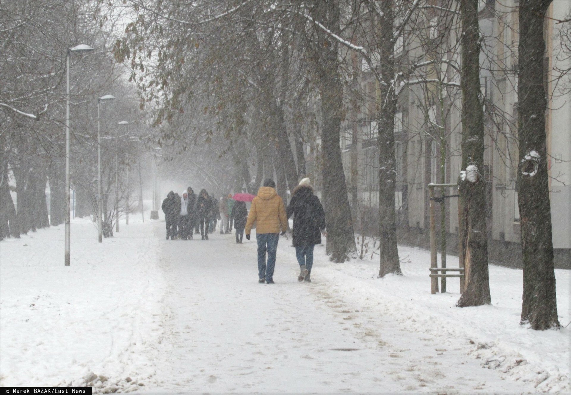 śnieg zima ludzie spacer