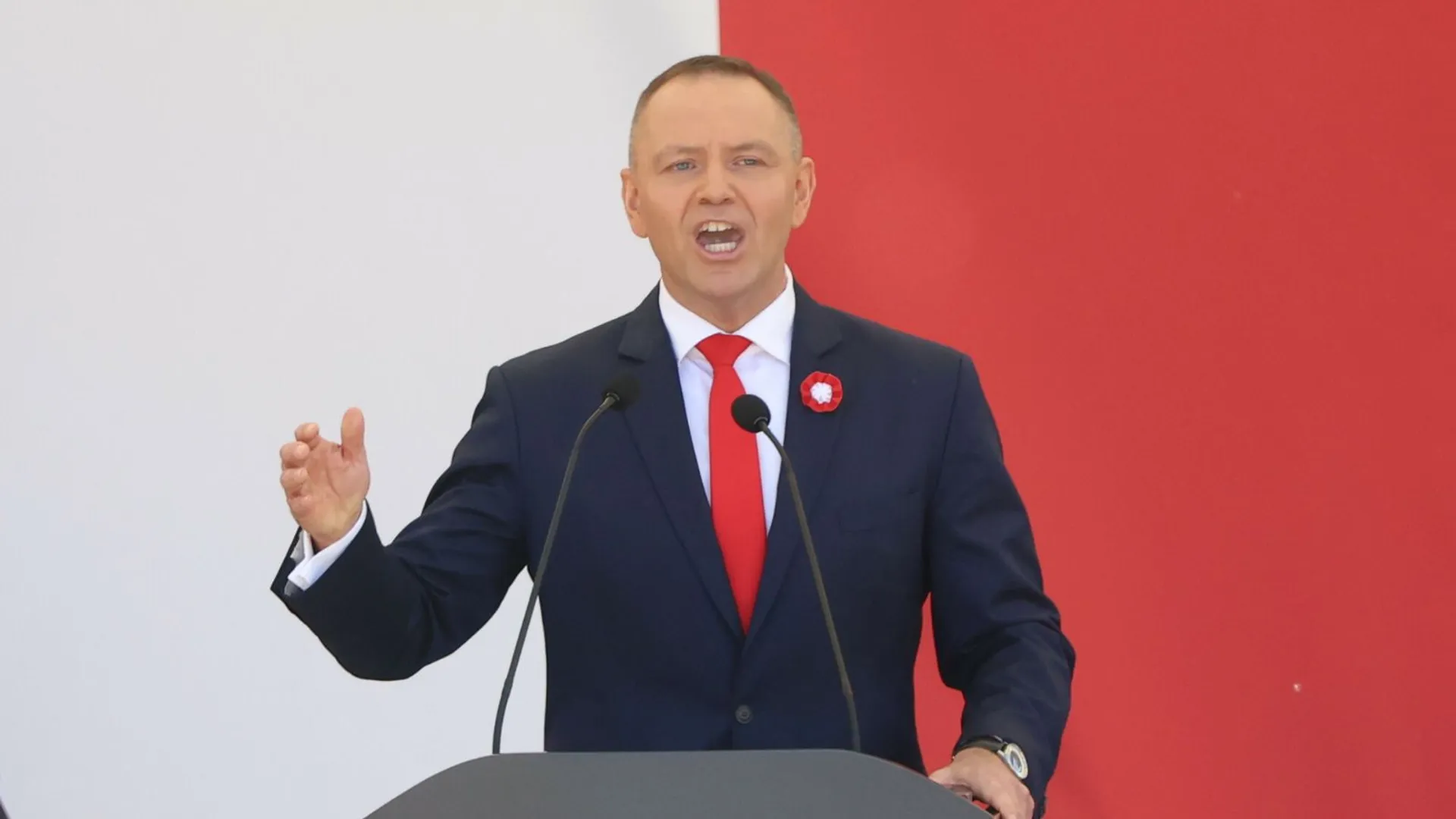 Karol Nawrocki, Rada Nowej Konstytucji