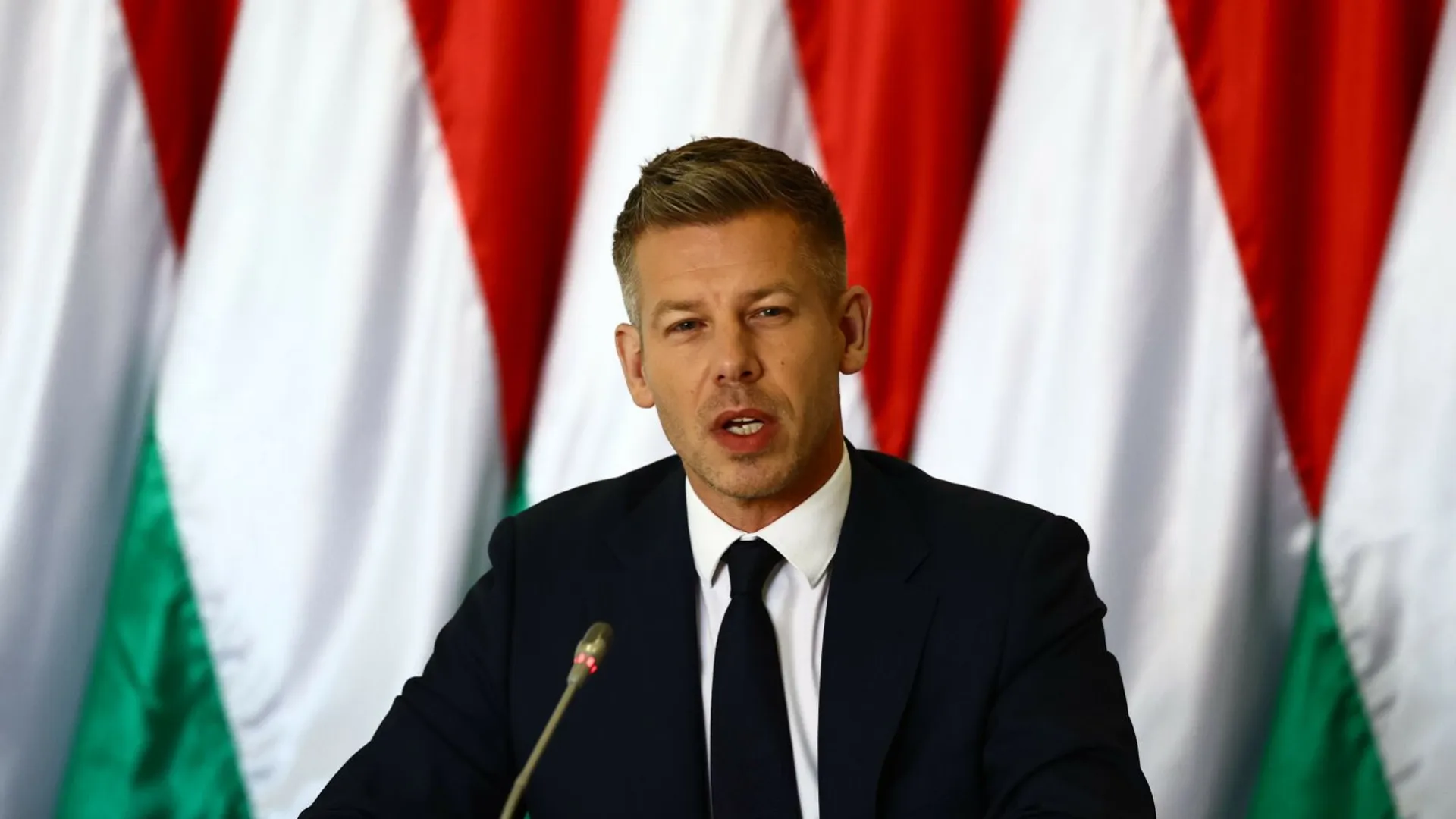 Peter Magyar, Węgry, Polska