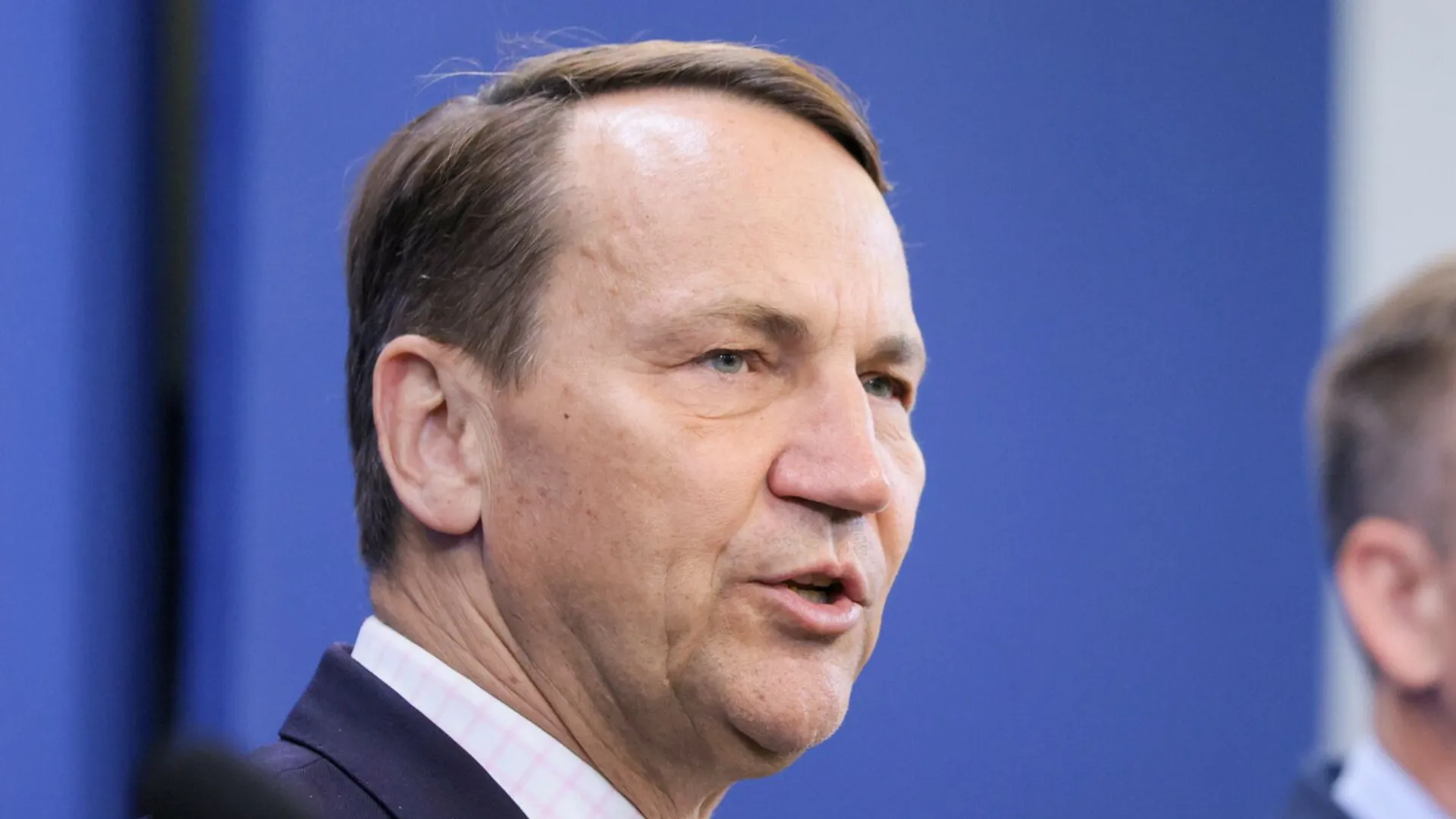 Radosław Sikorski, Robert Bąkiewicz, Niemcy