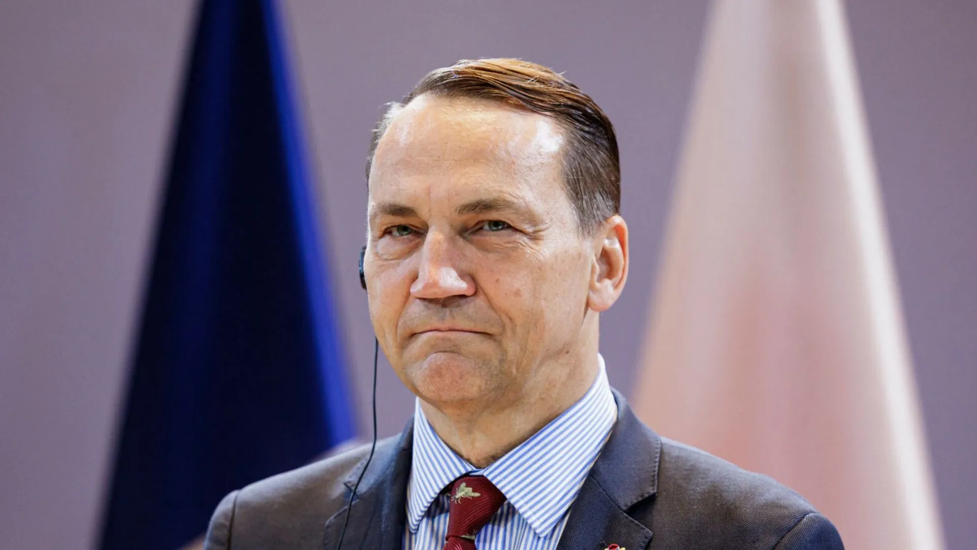 MSZ, oświadczenie 