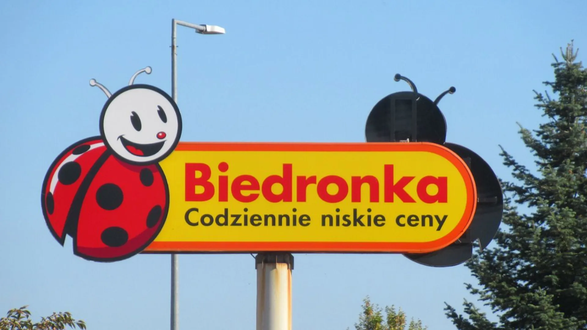 biedronka