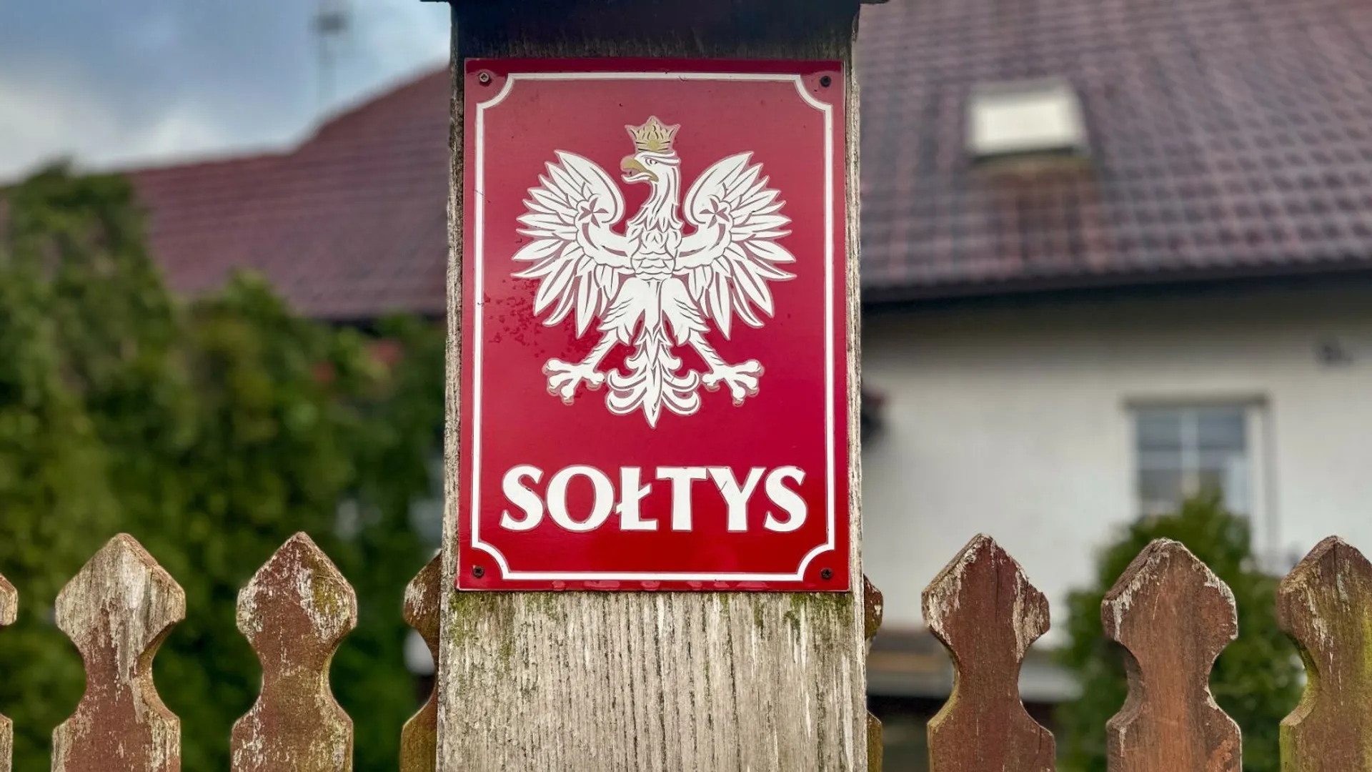 Sołtys