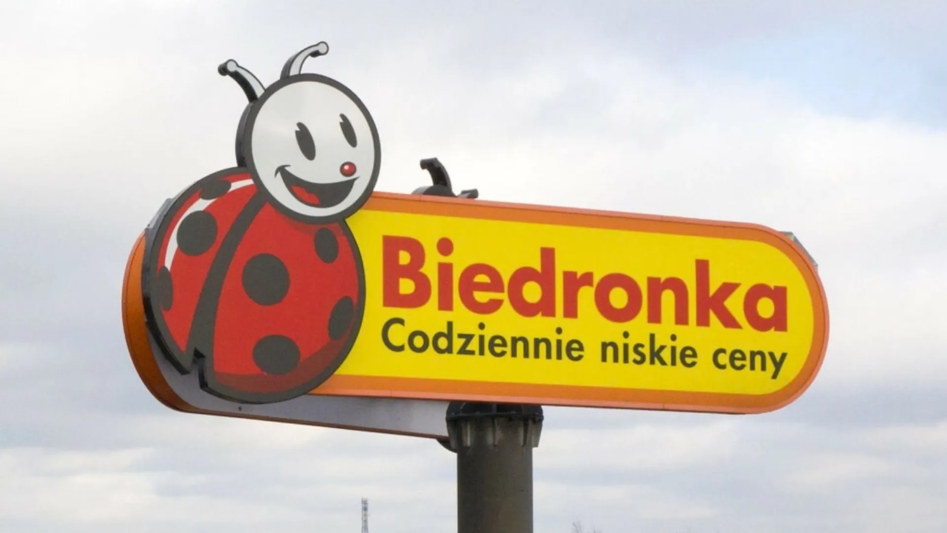 Biedronka