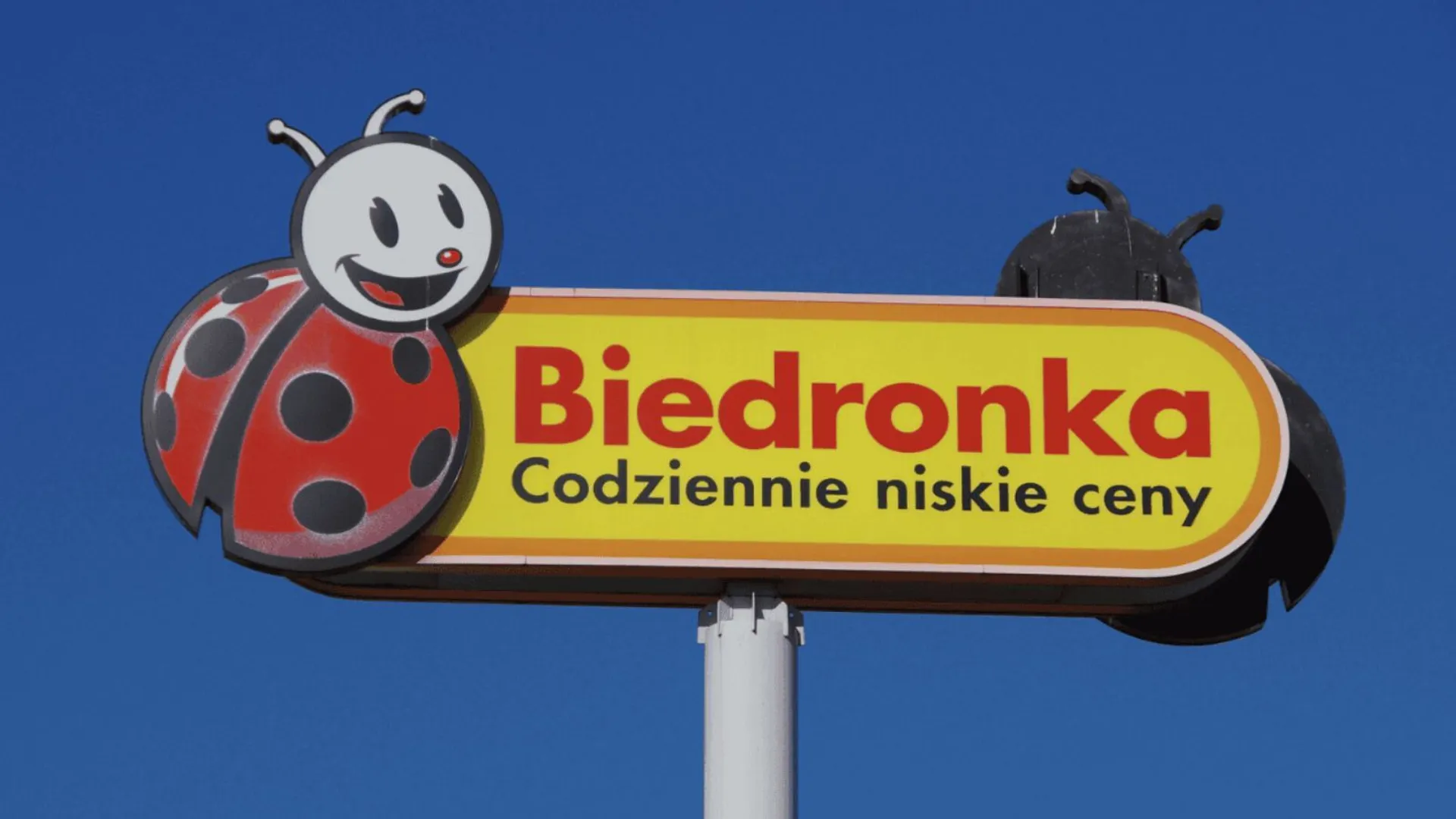 promocja w Biedronce