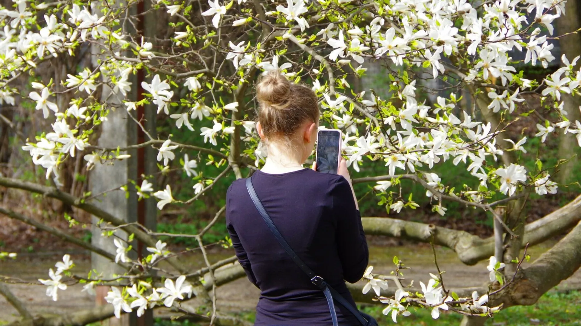 Warszawa, park, wiosna