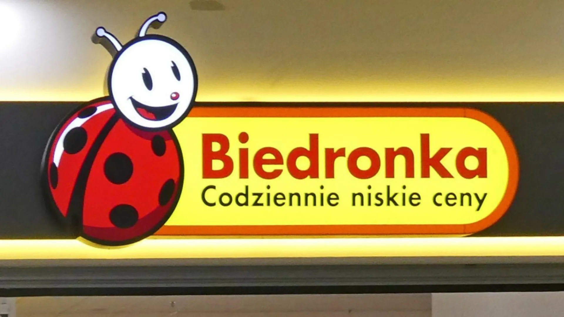 Biedronka