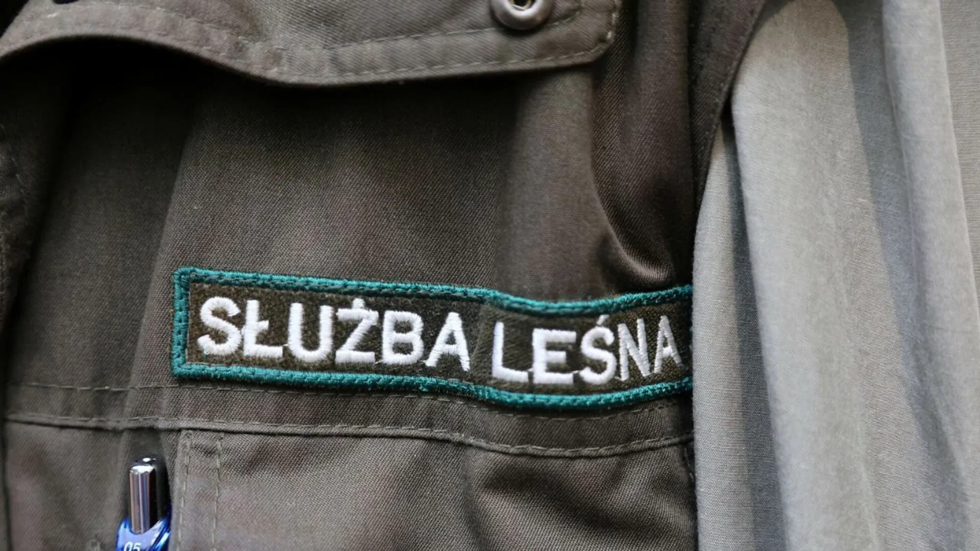 Służba leśna