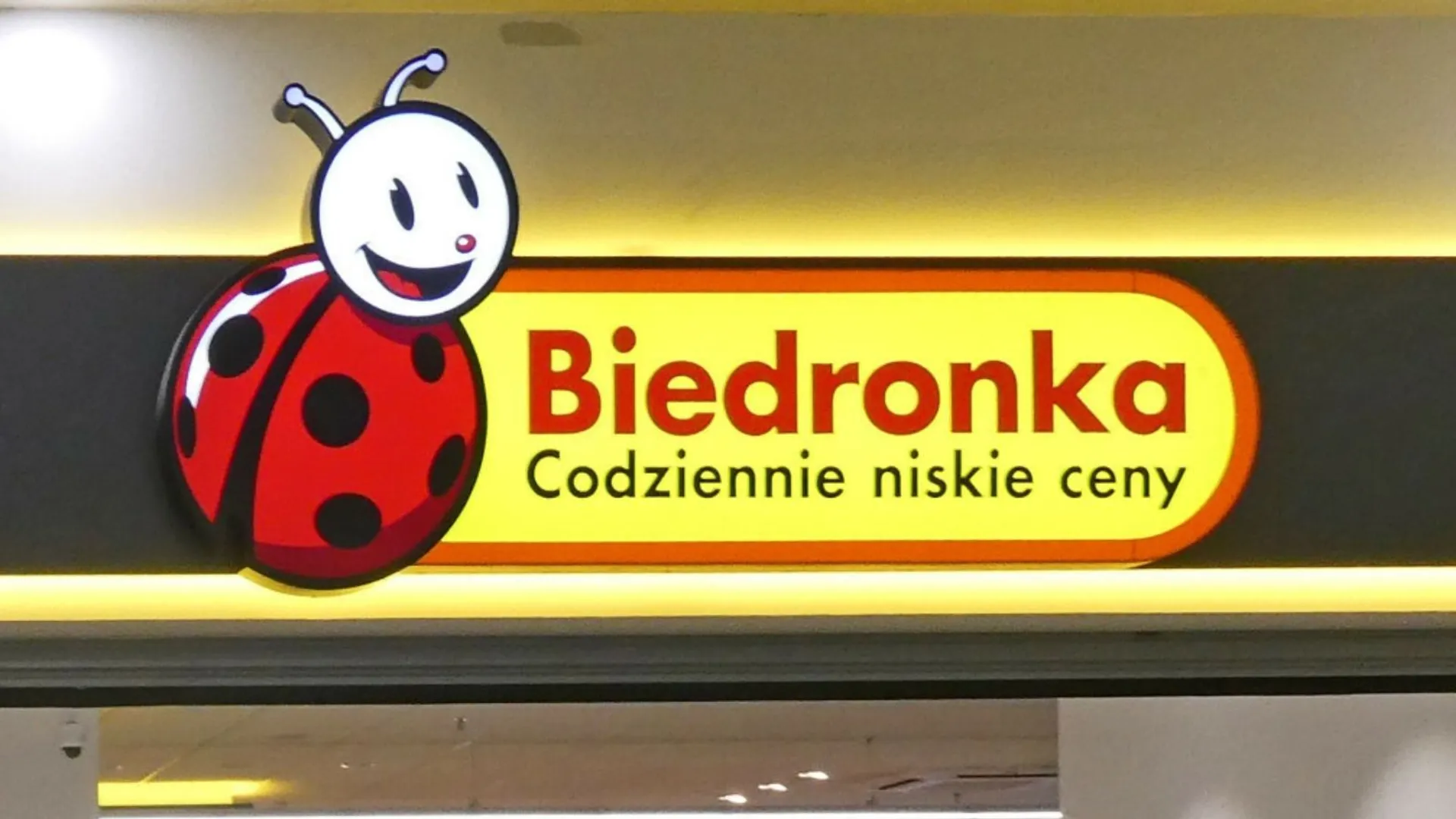 Biedronka