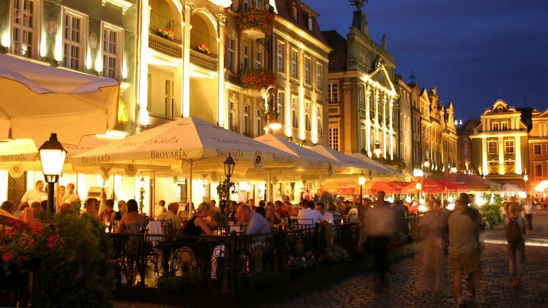 rynek poznań