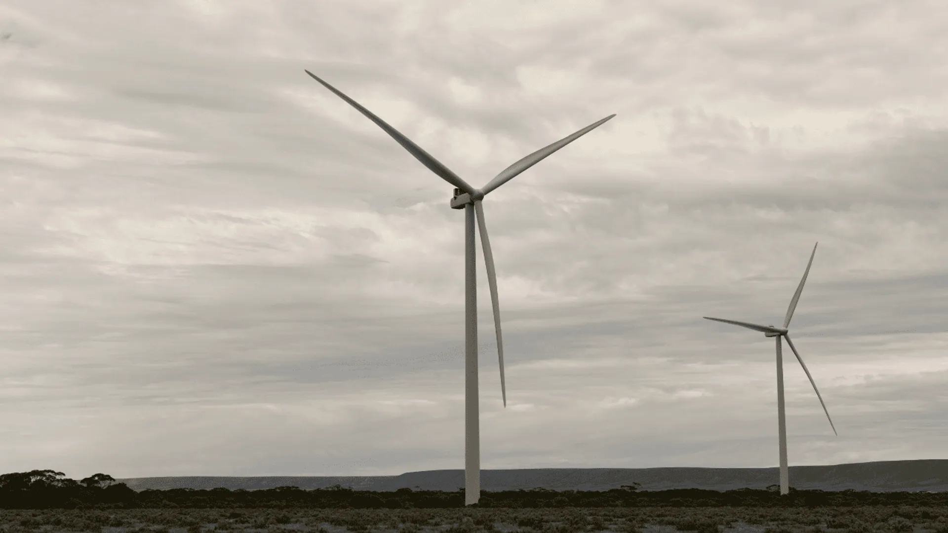 Elektrownie wiatrowe