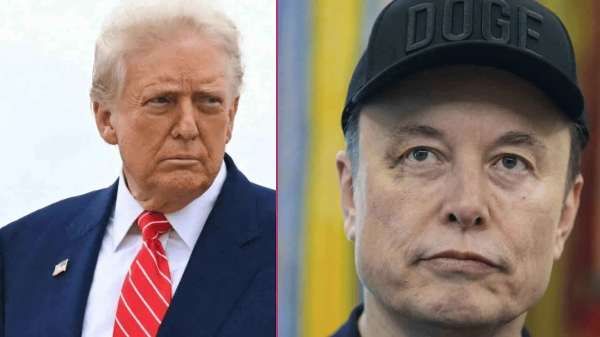 Elon Musk, Donald Trump