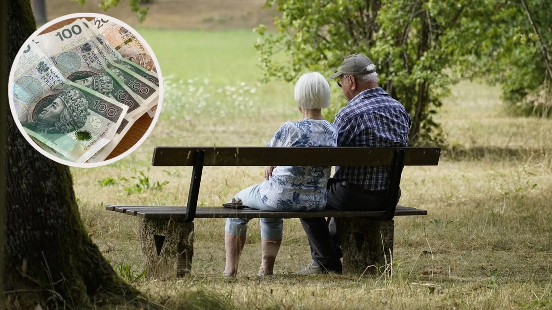 Seniorzy pieniądze