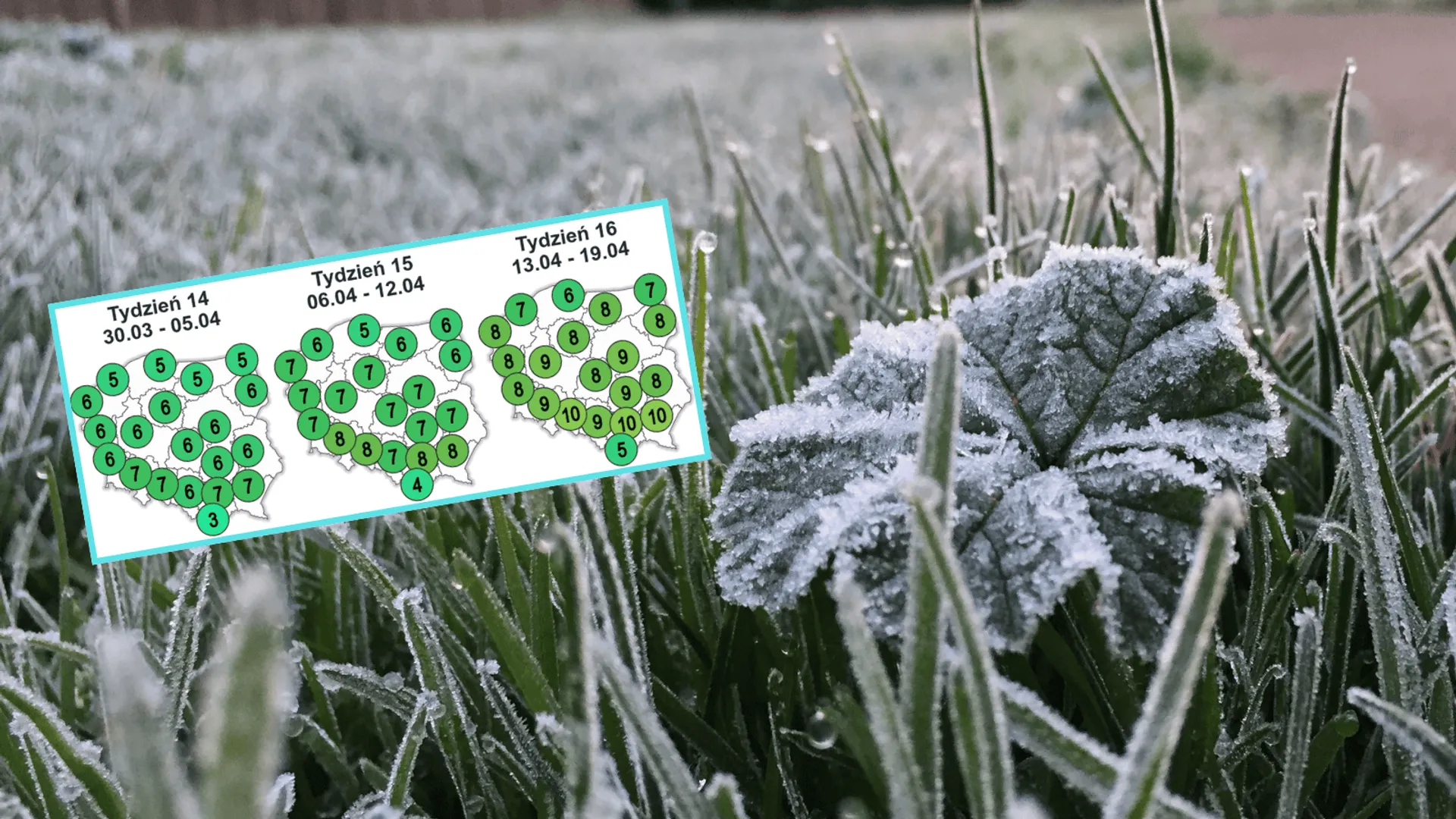 Wielkanocna „zatoka chłodu” nad Polską. Najnowsza prognoza nie pozostawia złudzeń