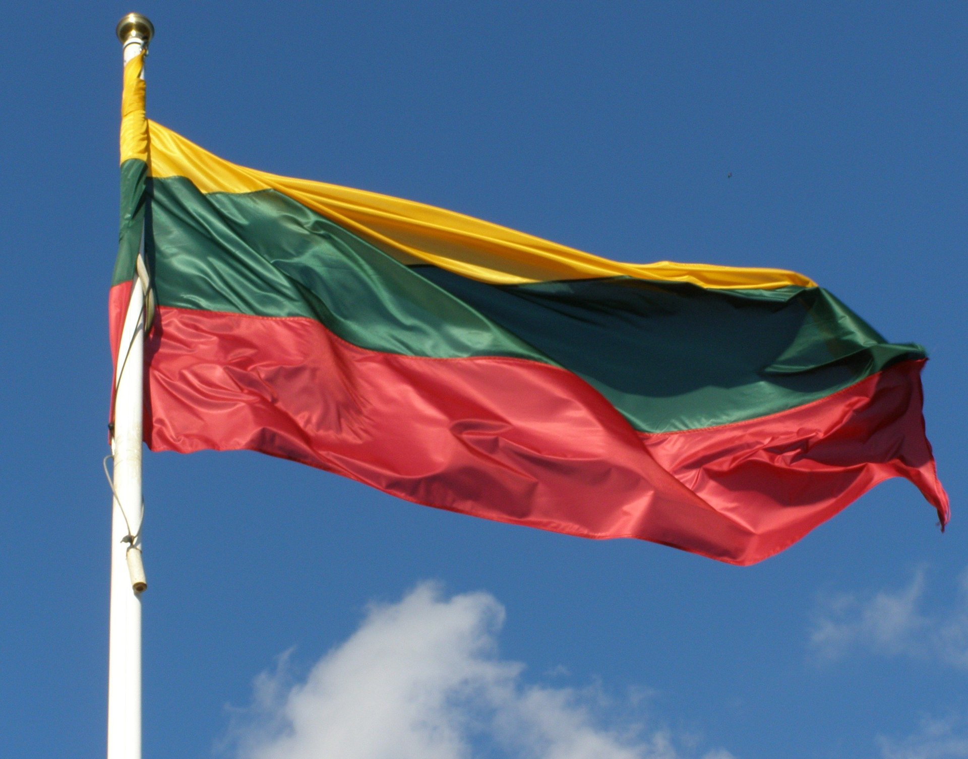 Flaga Litwy