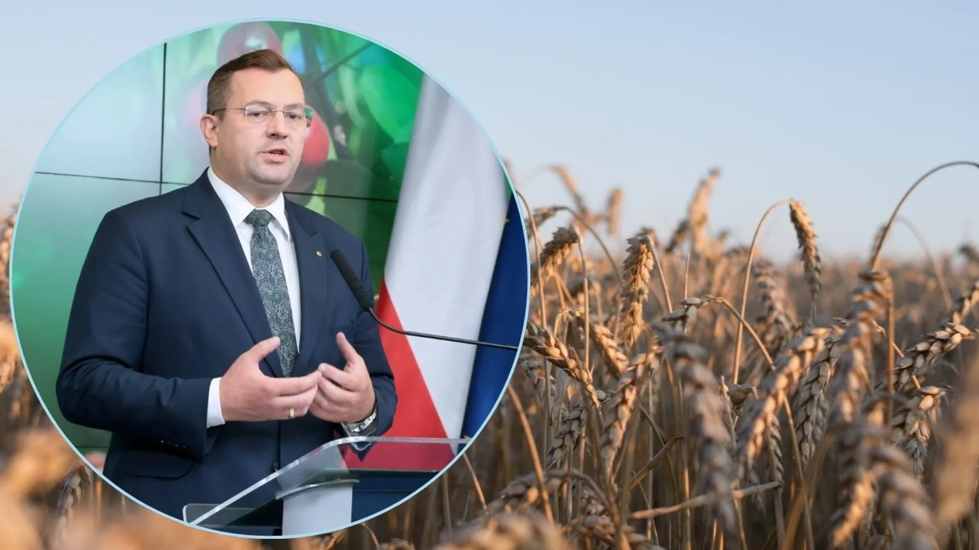 Stefan Krajewski, zboże