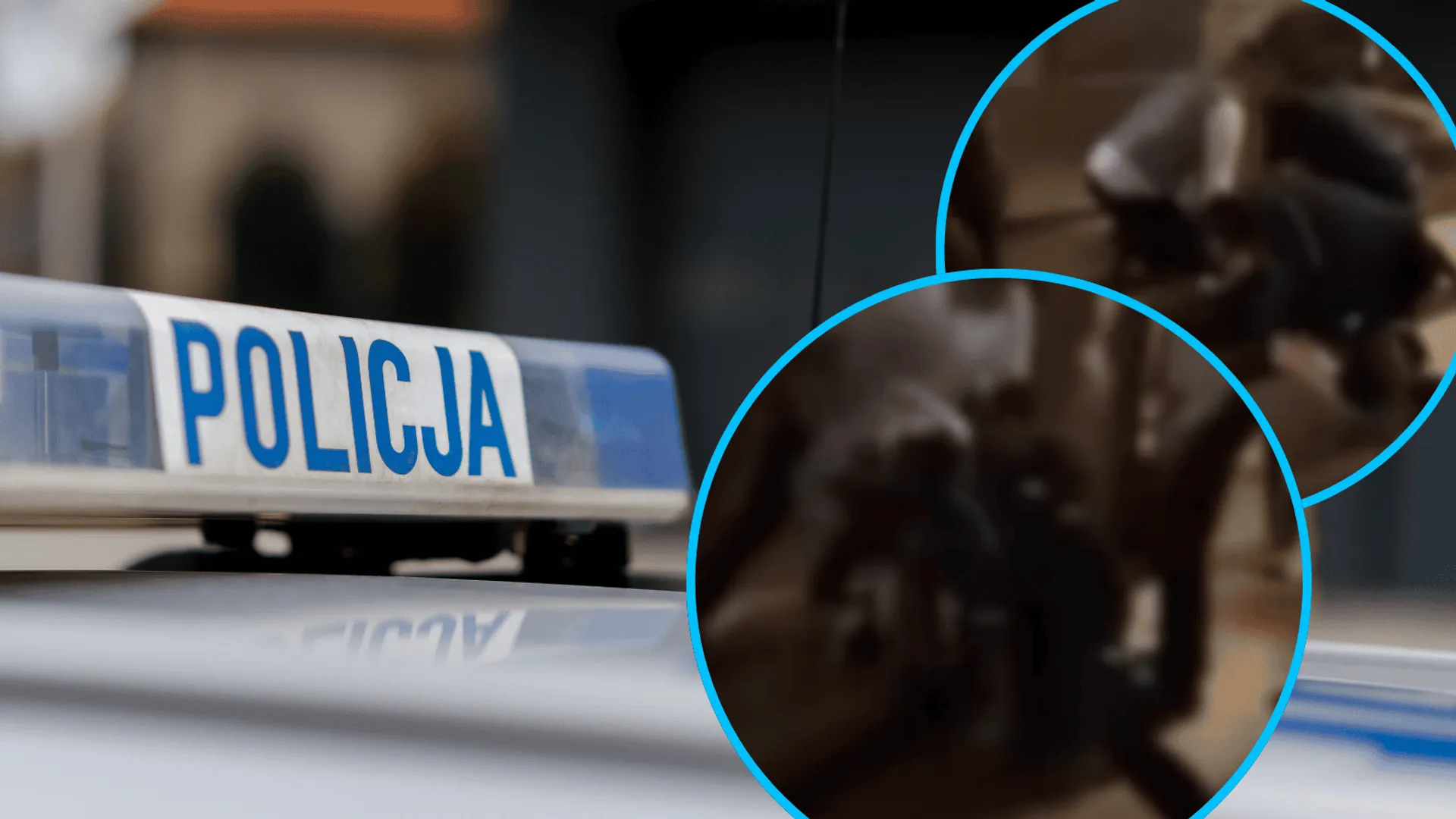 Tragedia, wesele, zatrzymanie, policja, Wadowice