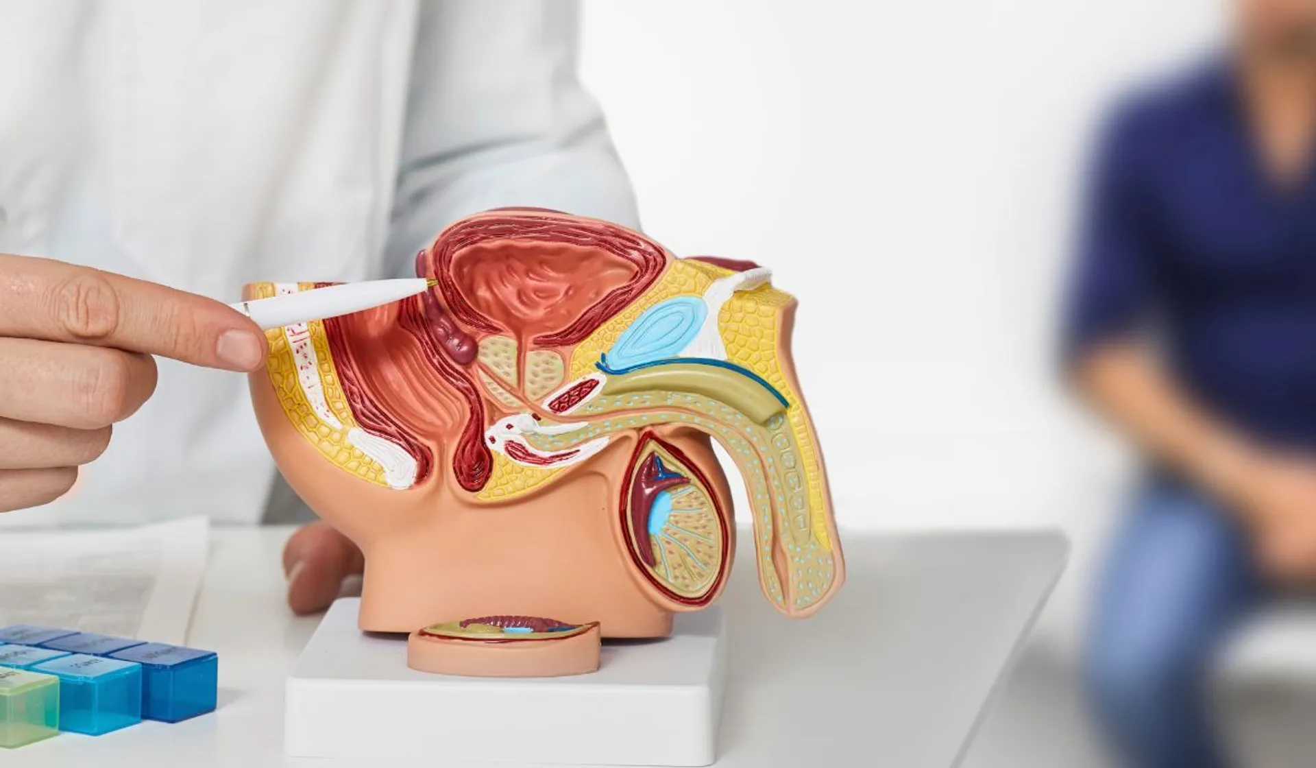 Raka prostaty może wykryć darmowe badanie