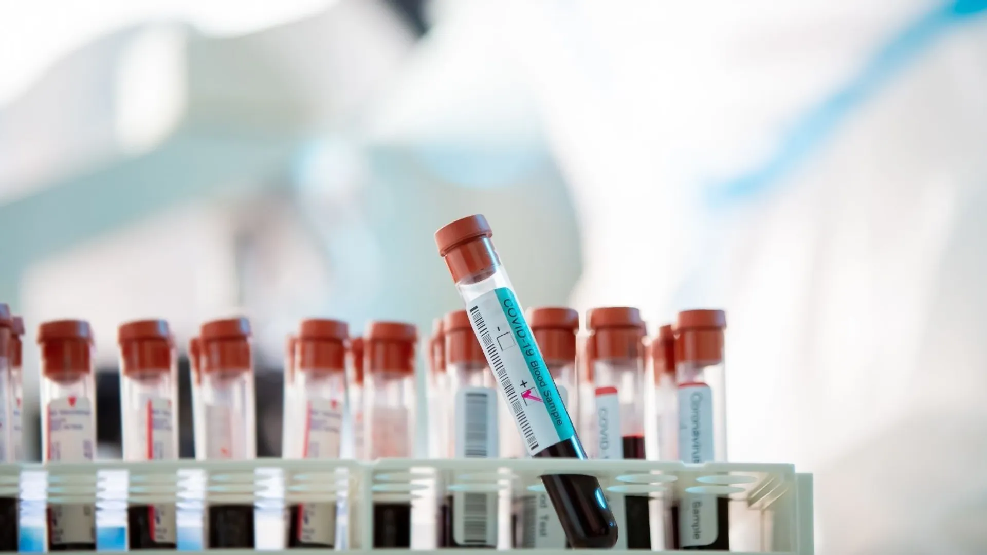 Testy krwi wykrywające raka