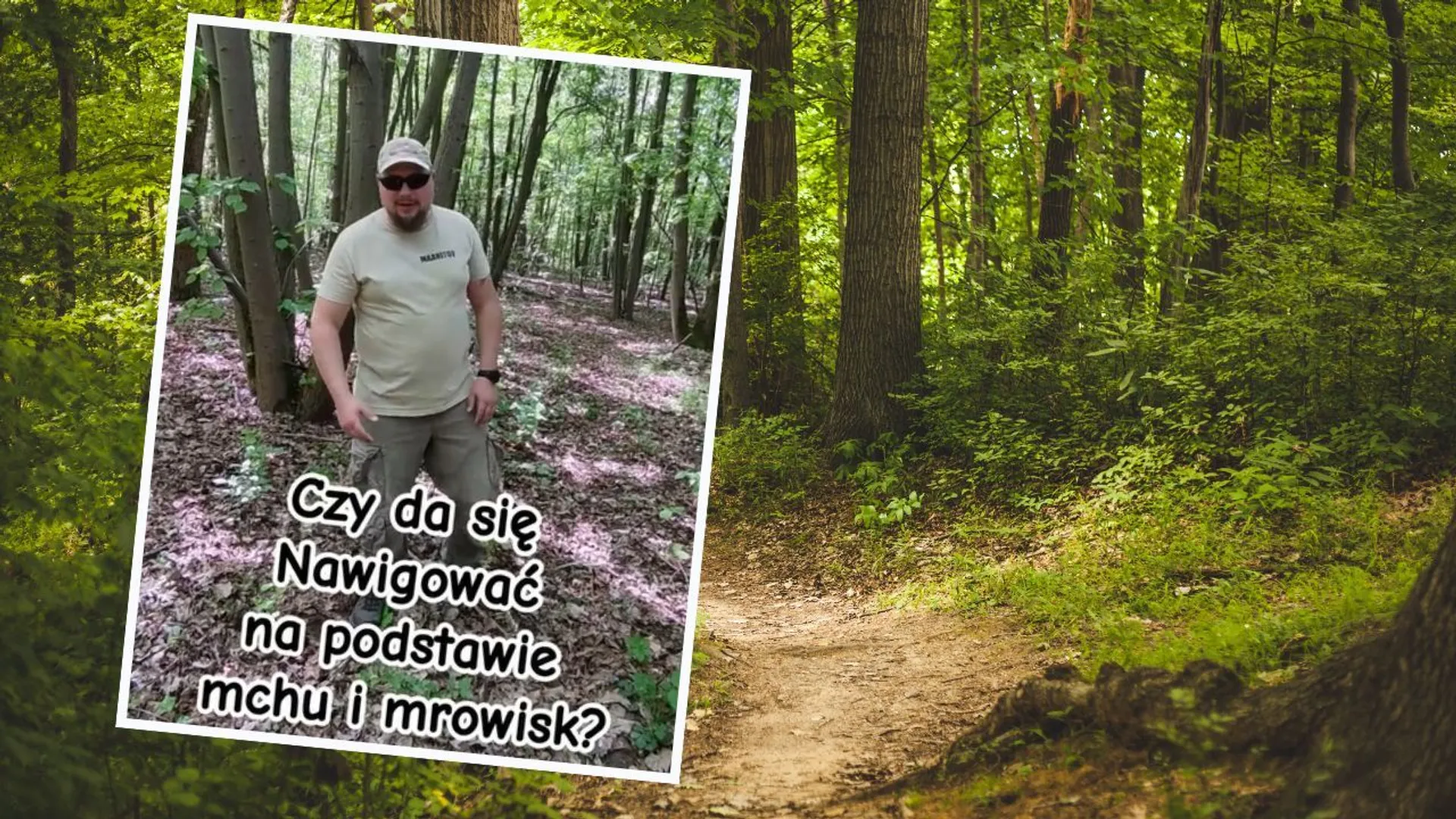 Naturalne kompasy nie sprawdzają się w lesie