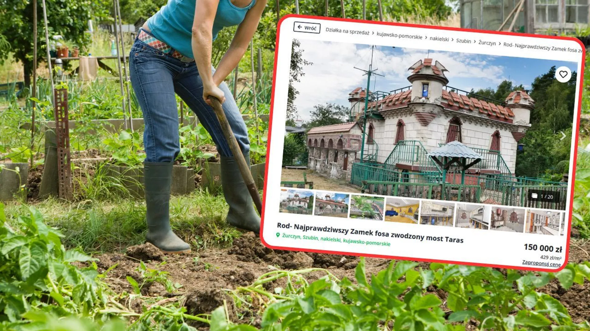 Ogródek działkowy (zdjęcie poglądowe)