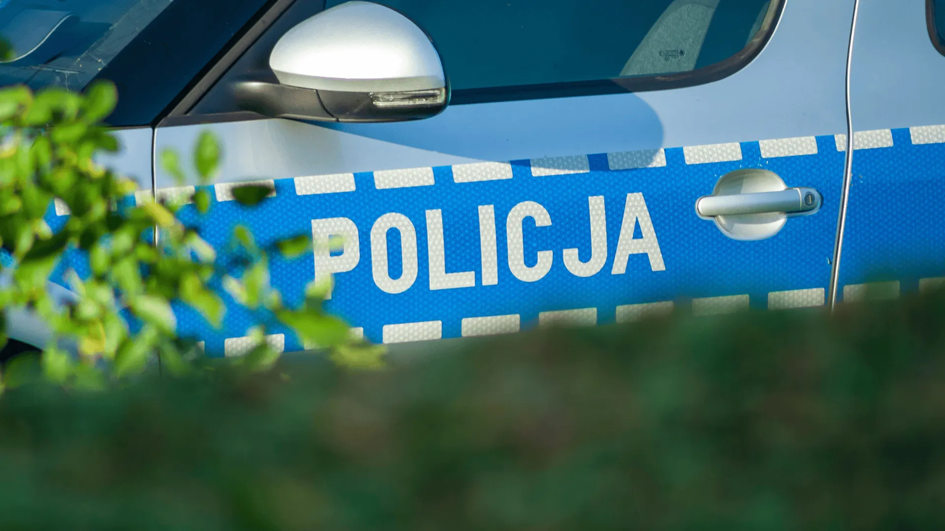 policja