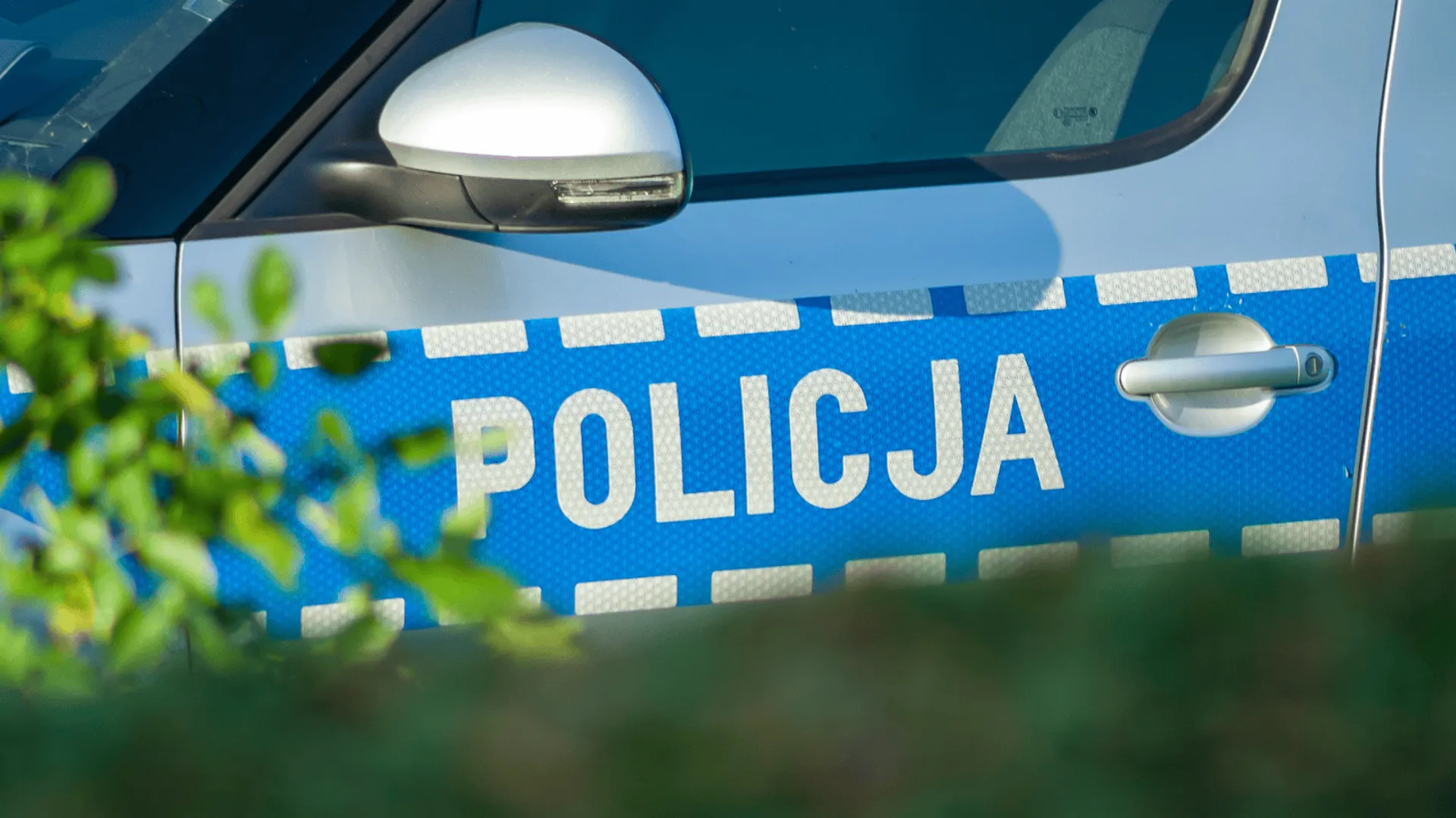 policja
