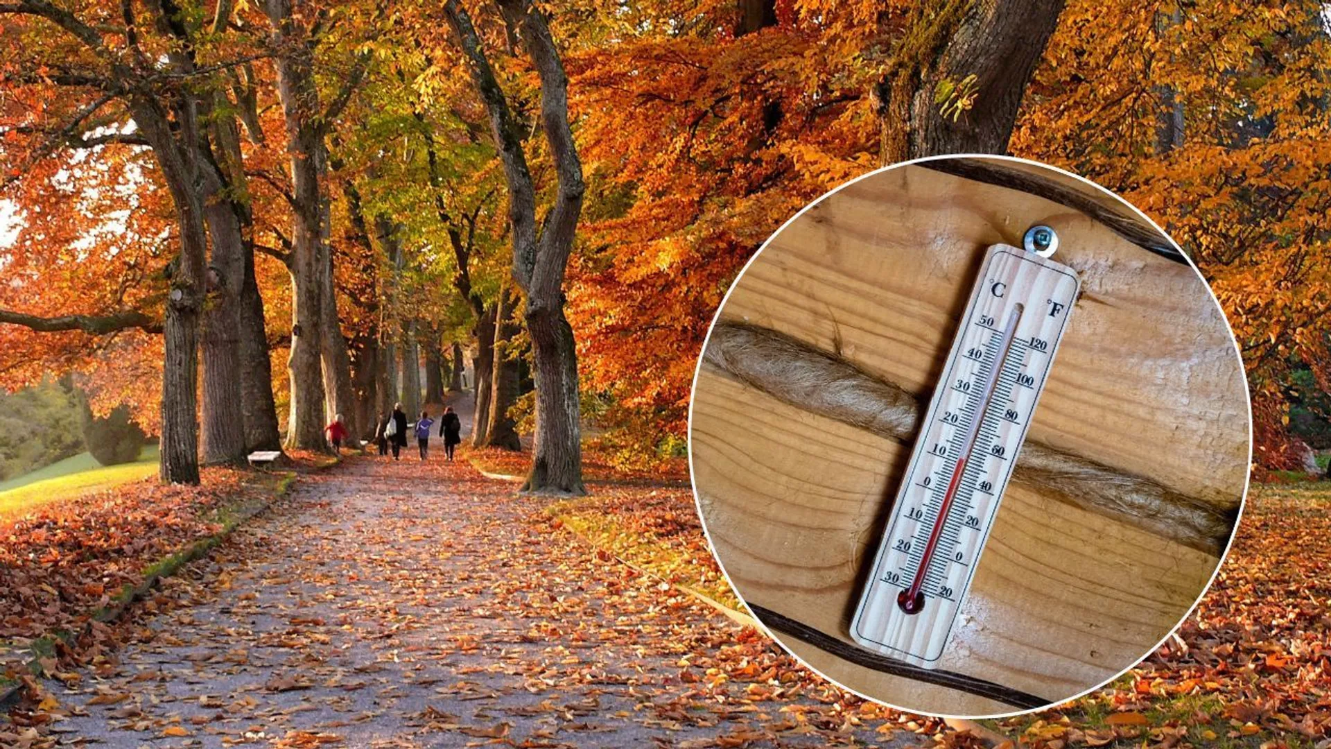 temperatura