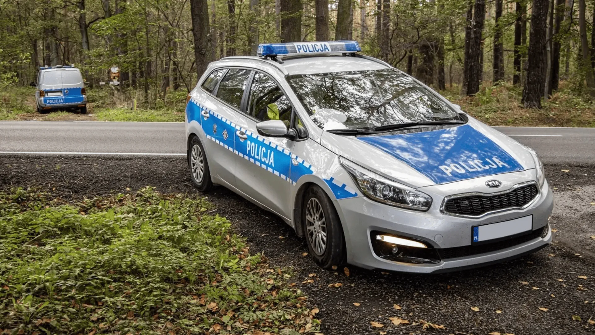 policja
