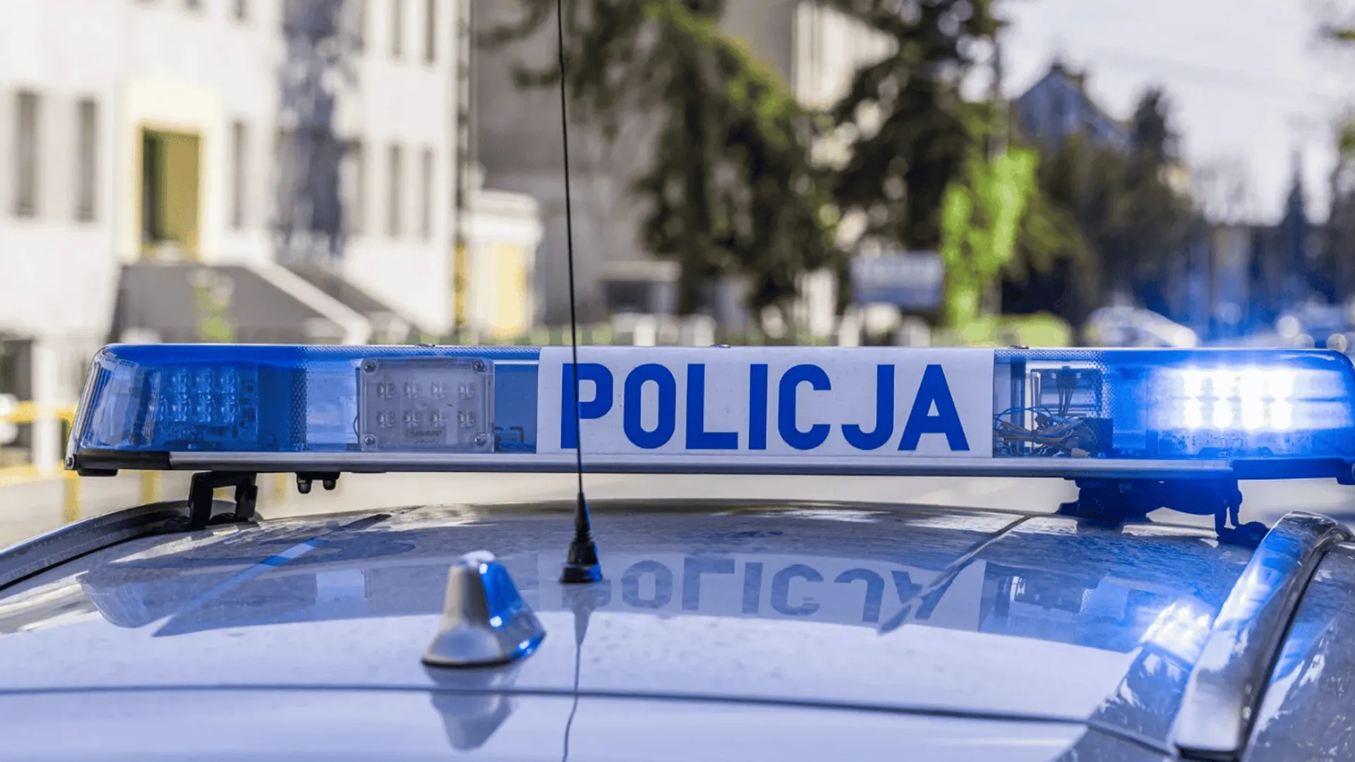 policja