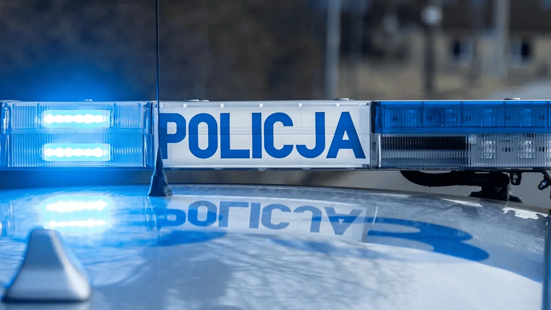 policja