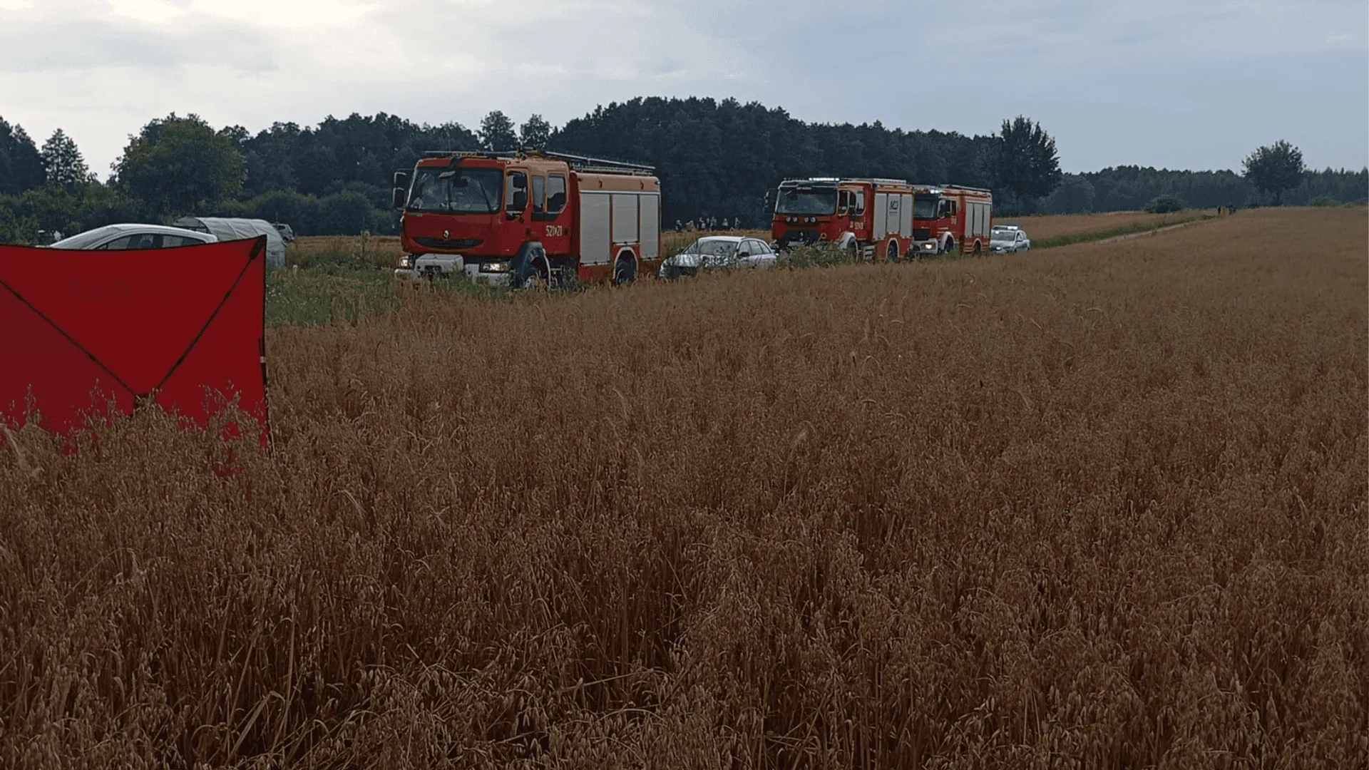 wypadek