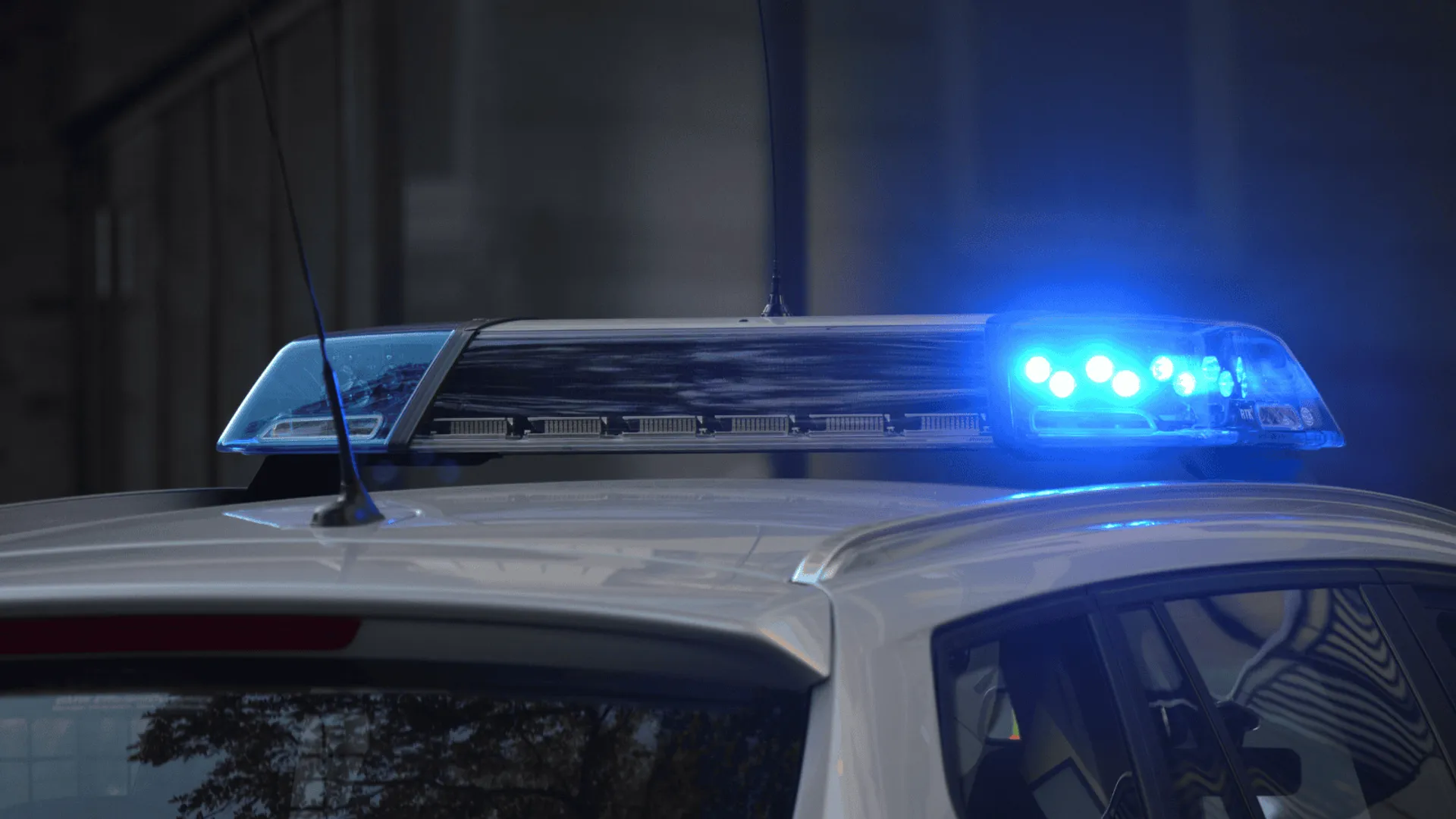 policja, radiowóz