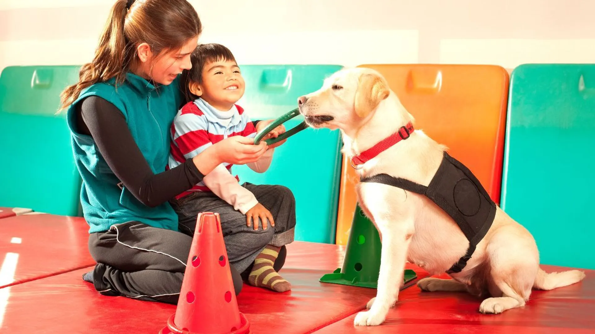 dogoterapia